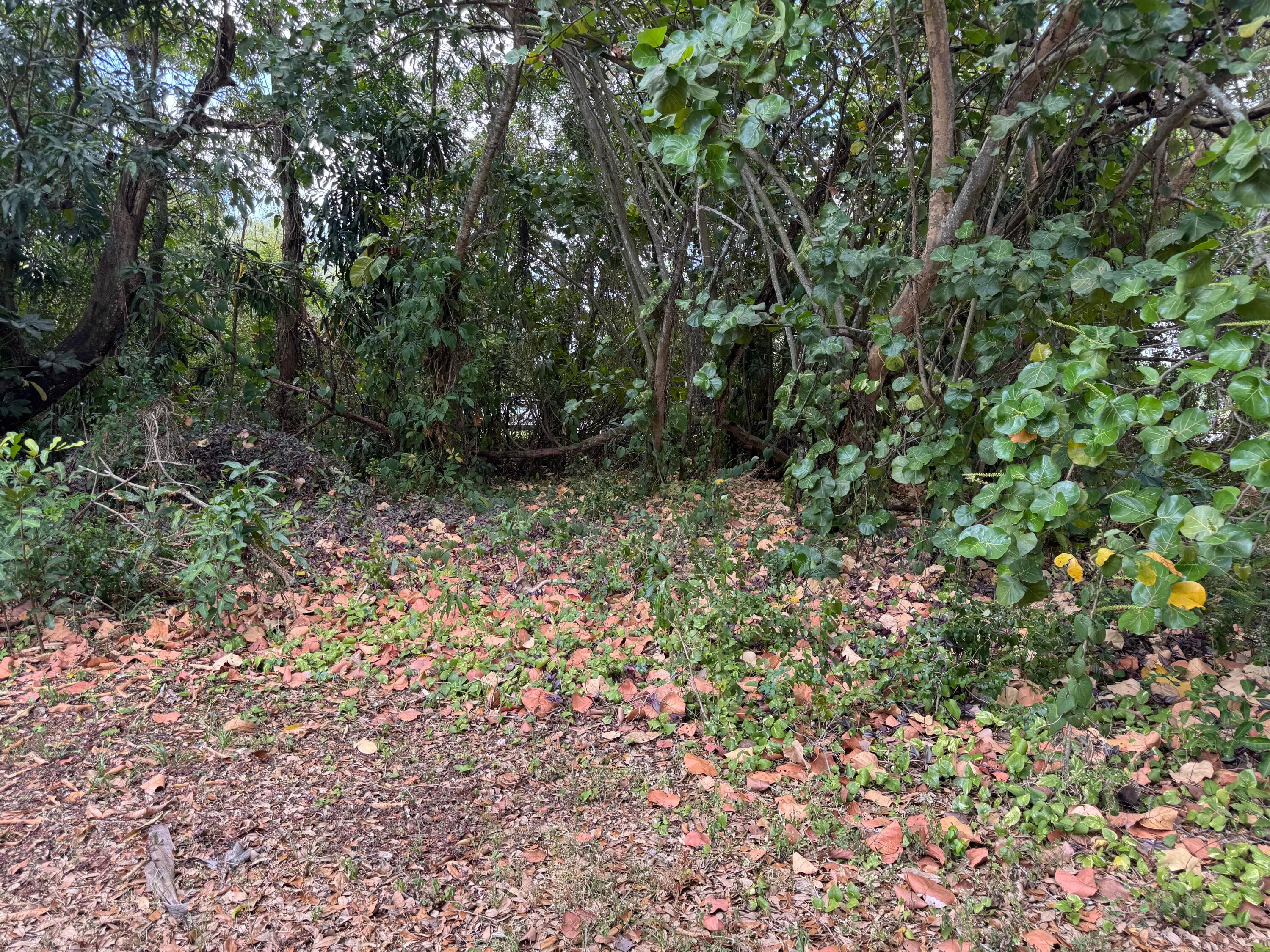 3358 S Jog Road, Greenacres, FL 33467 — photo 17 of 25