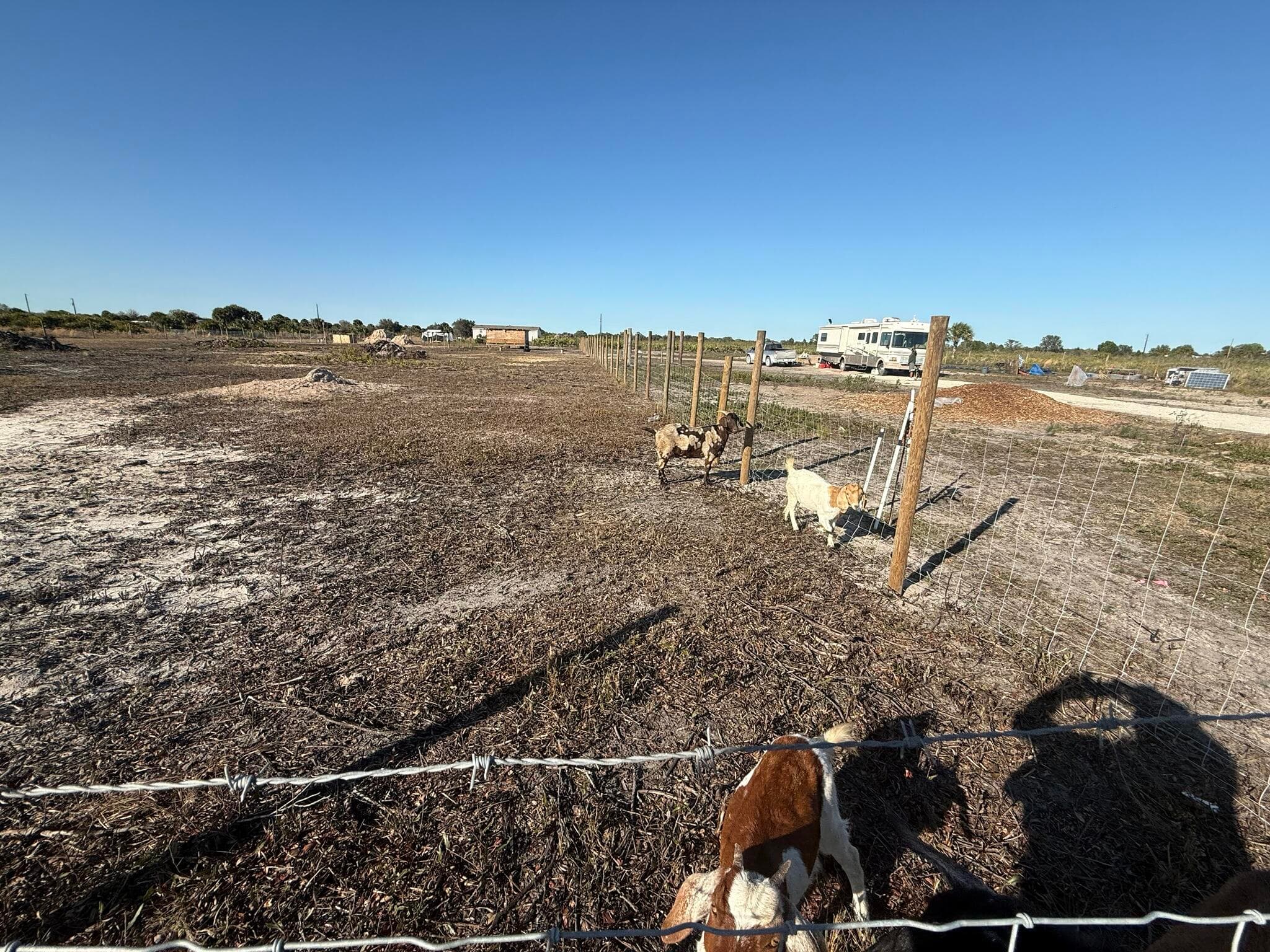 21377 NW 276th Street, Okeechobee, FL 34972 — photo 6 of 23