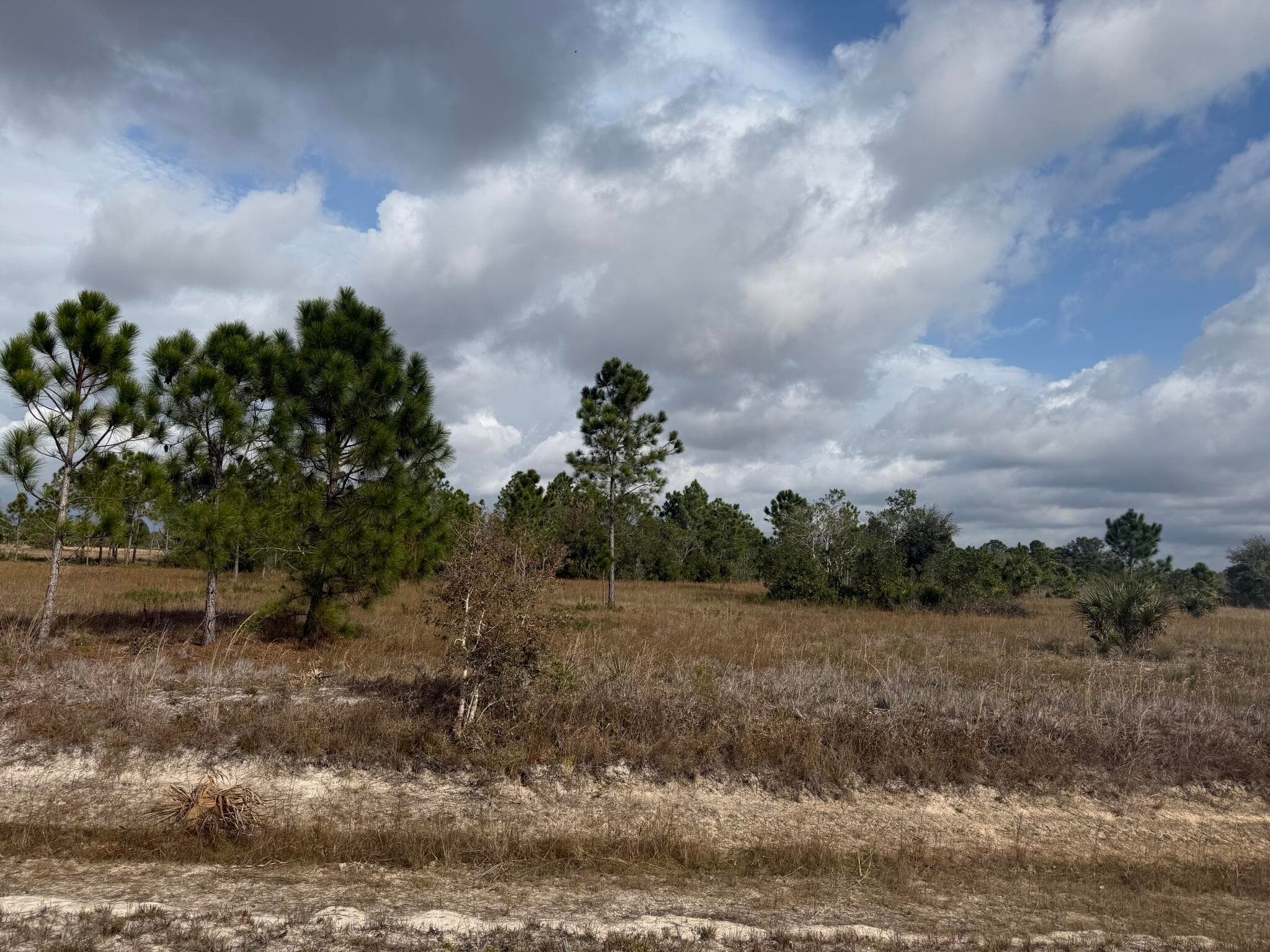 16375 NW 314th Street, Okeechobee, FL 34972 — photo