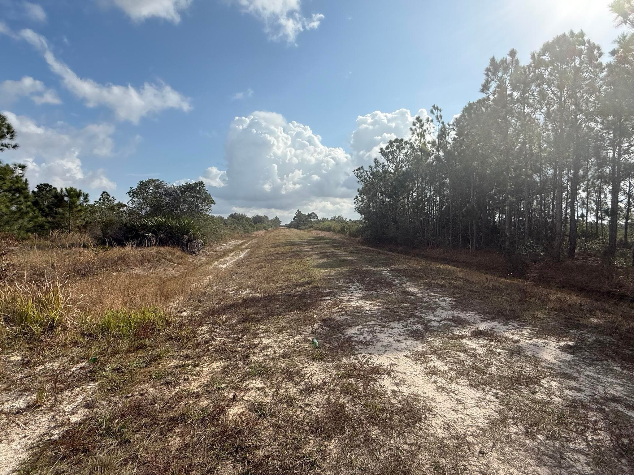 16375 NW 314th Street, Okeechobee, FL 34972 — photo 7 of 13