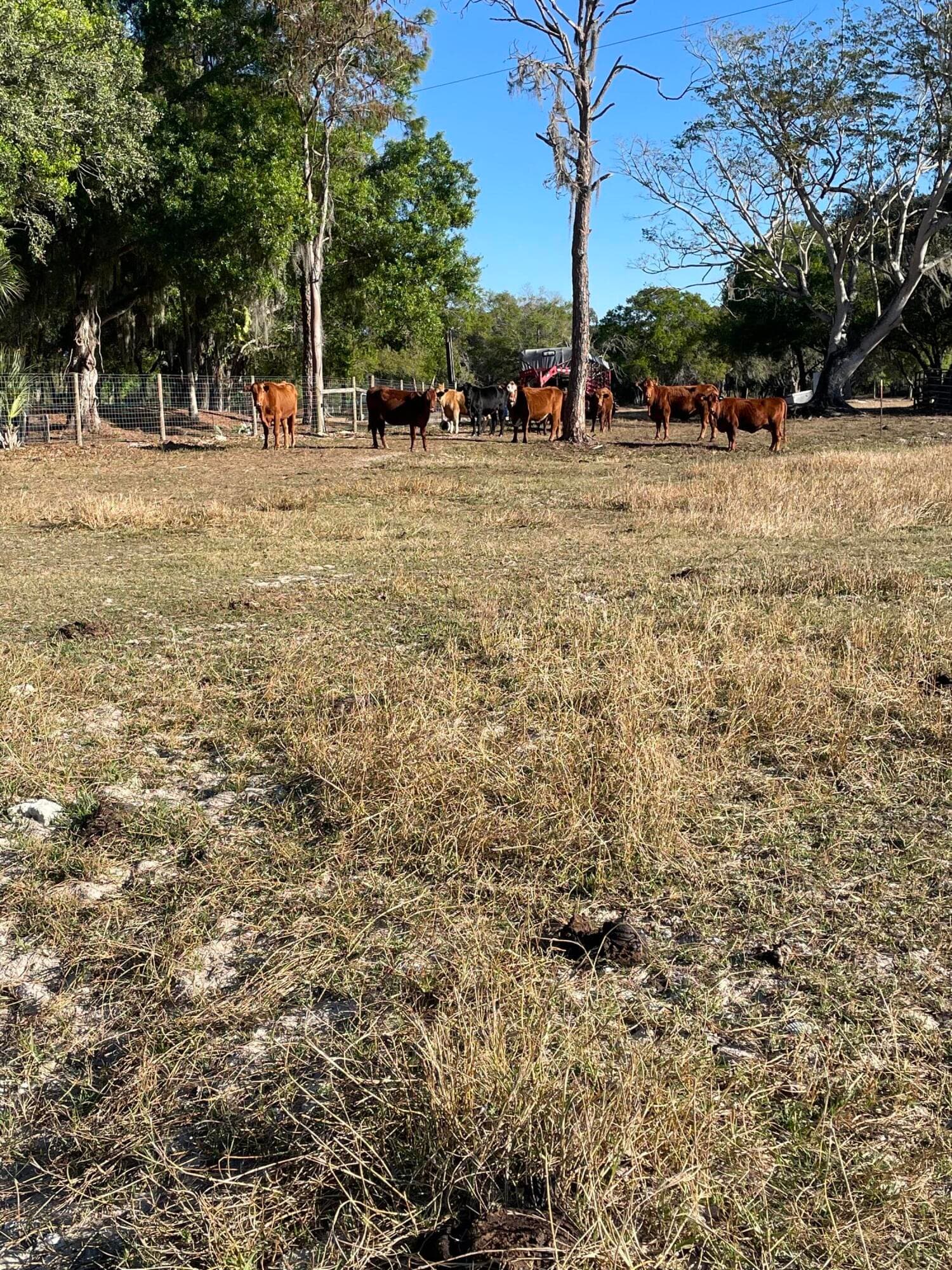 1220 A Road, LaBelle, FL 33935 — photo 30 of 42