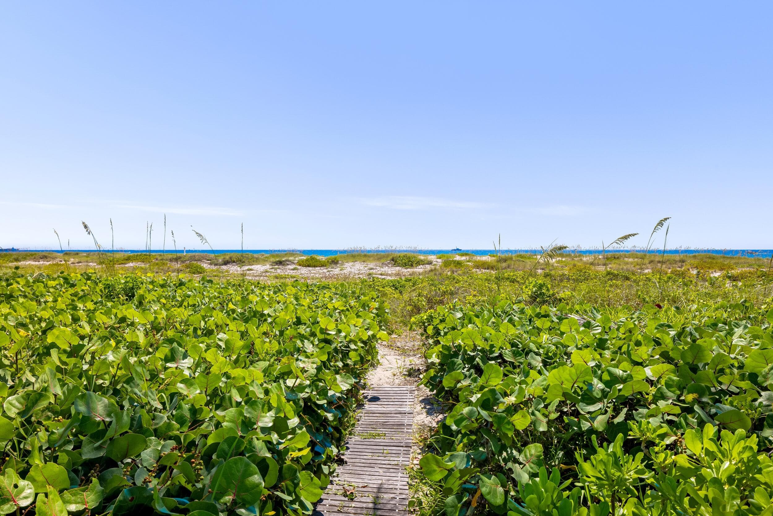 1446 N Ocean Boulevard, Palm Beach, FL 33480 — photo 17 of 65