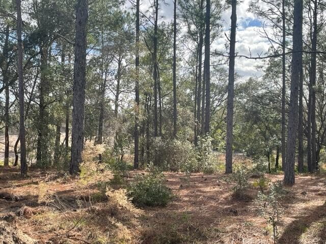 000 Malauka Cir Circle, Ocklawaha, FL 32179 — photo 2 of 9