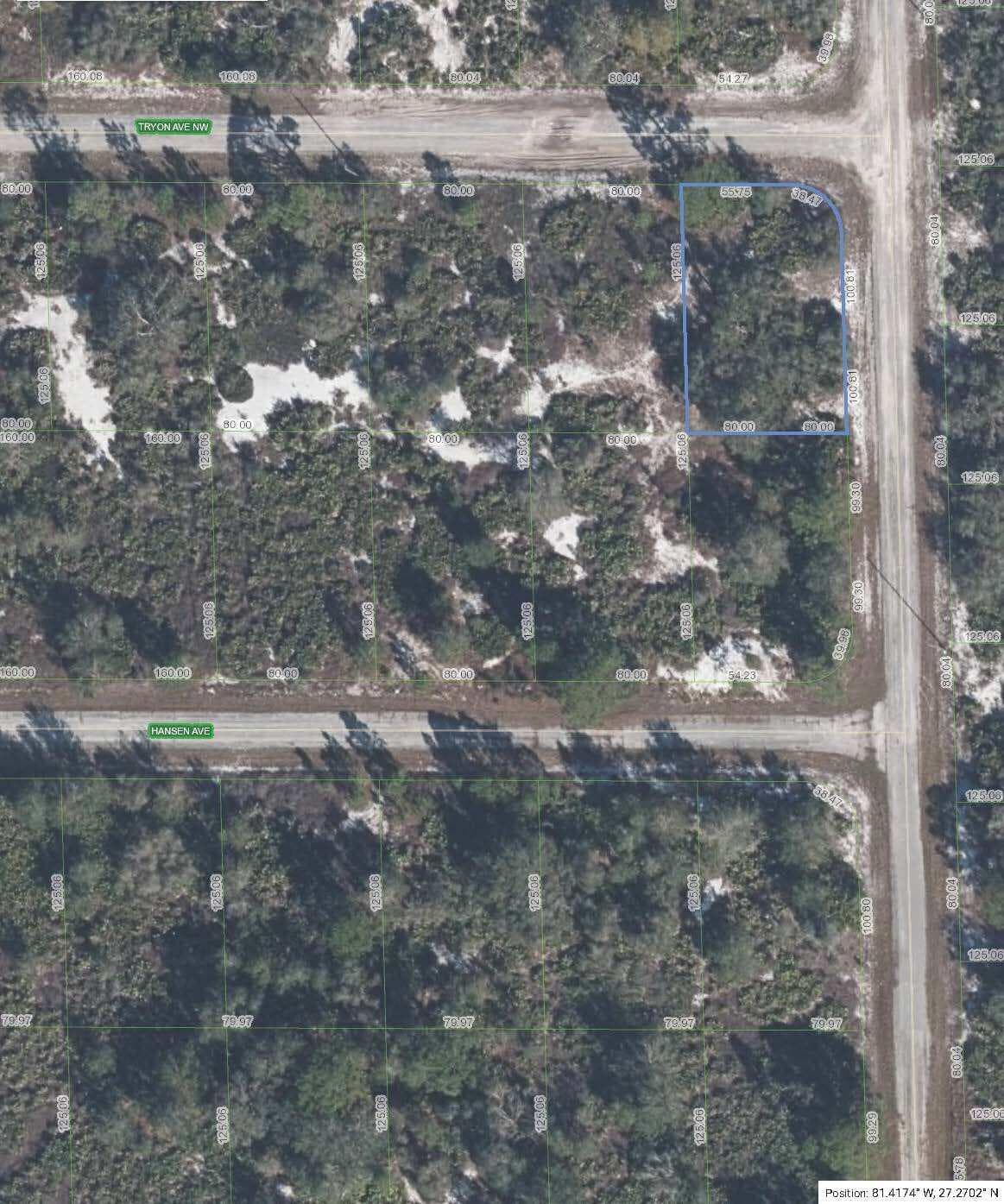 100 Tryon Avenue NW, Lake Placid, FL 33852 — photo 1 of 4
