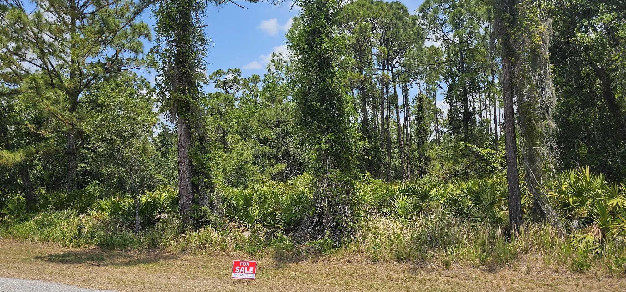 20216 Elrose Avenue, Port Charlotte, FL 33954 — photo 4 of 6