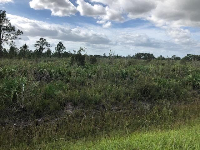 Tbd Undetermined, Citra, FL 32113 — photo 1 of 1