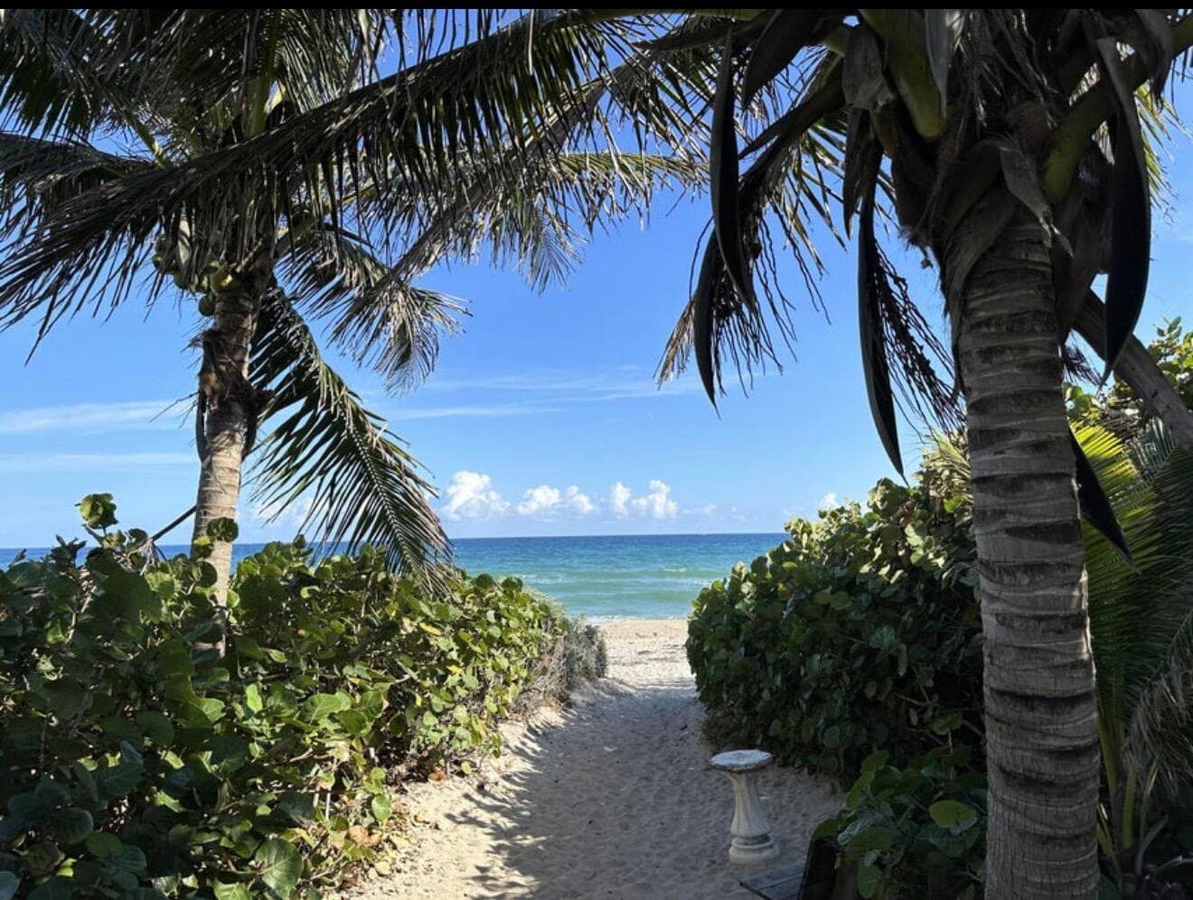 49 Douglas Drive, Ocean Ridge, FL 33435 — photo 59 of 65