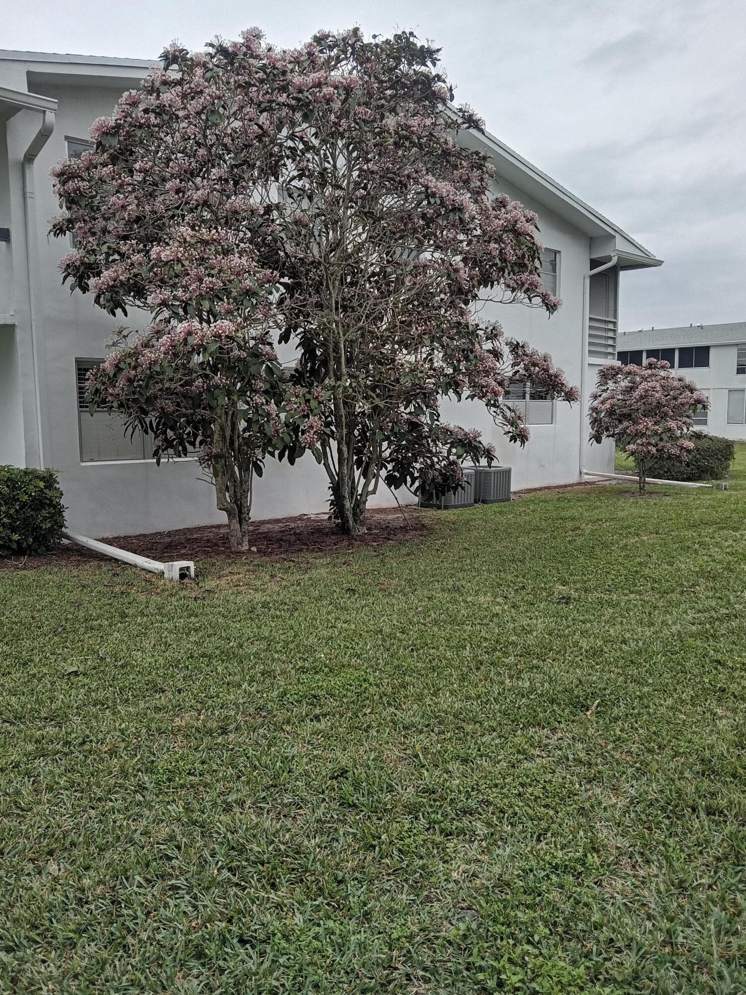 302 Markham N 302, Deerfield Beach, FL 33442 — photo 3 of 4