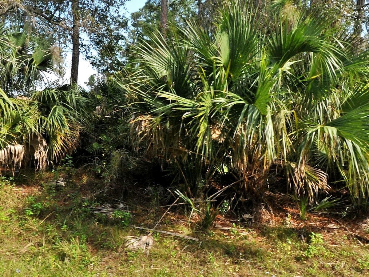 Tbd Abbington Street, North Port, FL 34286 — photo