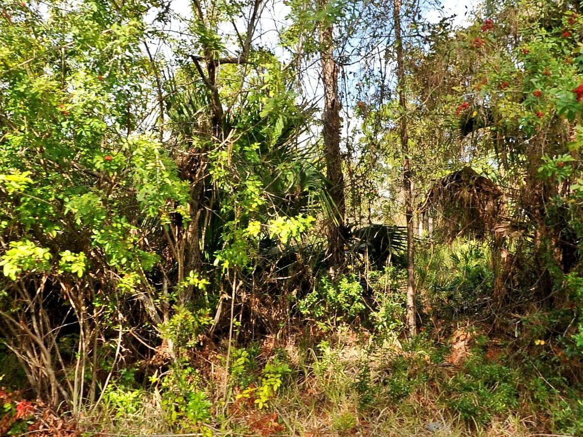 0 Haffenberg Ave Avenue, North Port, FL 34288 — photo