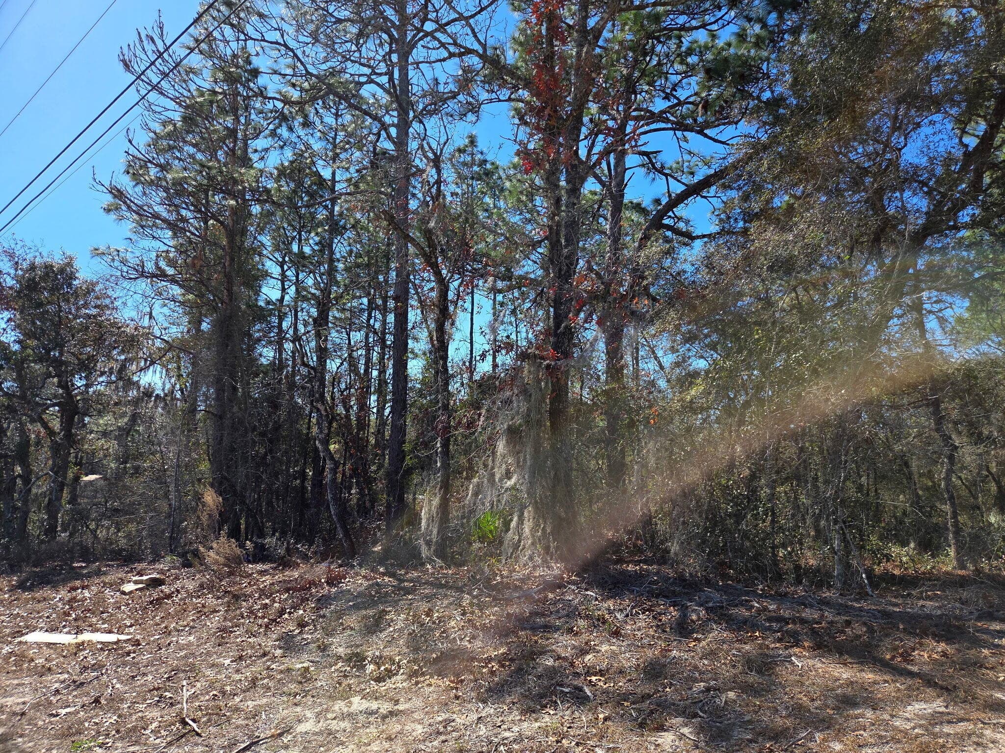 8 Marion Oaks Lane, FL 34473 — photo
