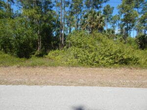 1047 Asther Street E, Lehigh Acres, FL 33974 — photo 1 of 1