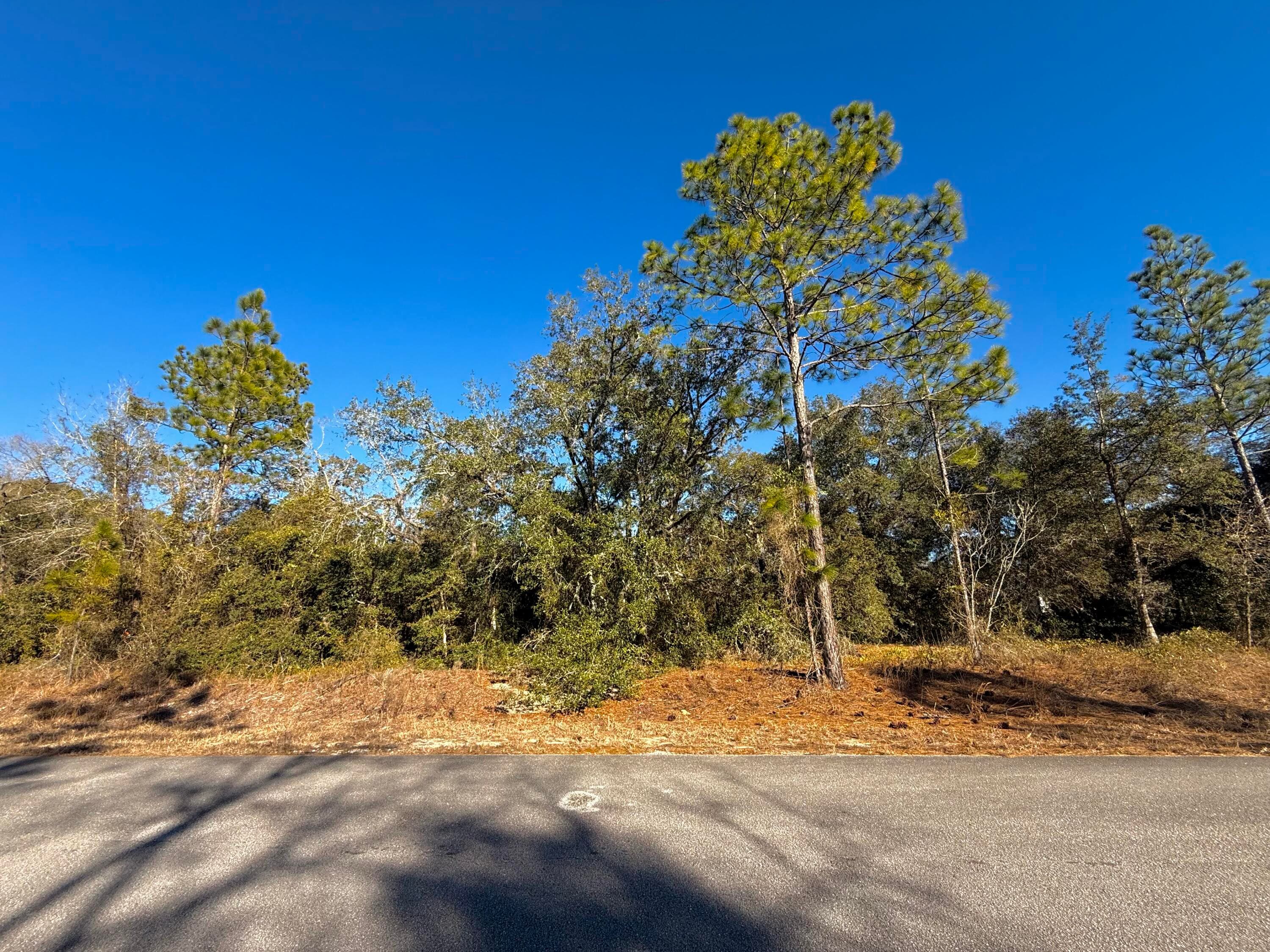 Tbd Lot 35 SW Lobelia Court, Dunnellon, FL 34431 — photo 5 of 10