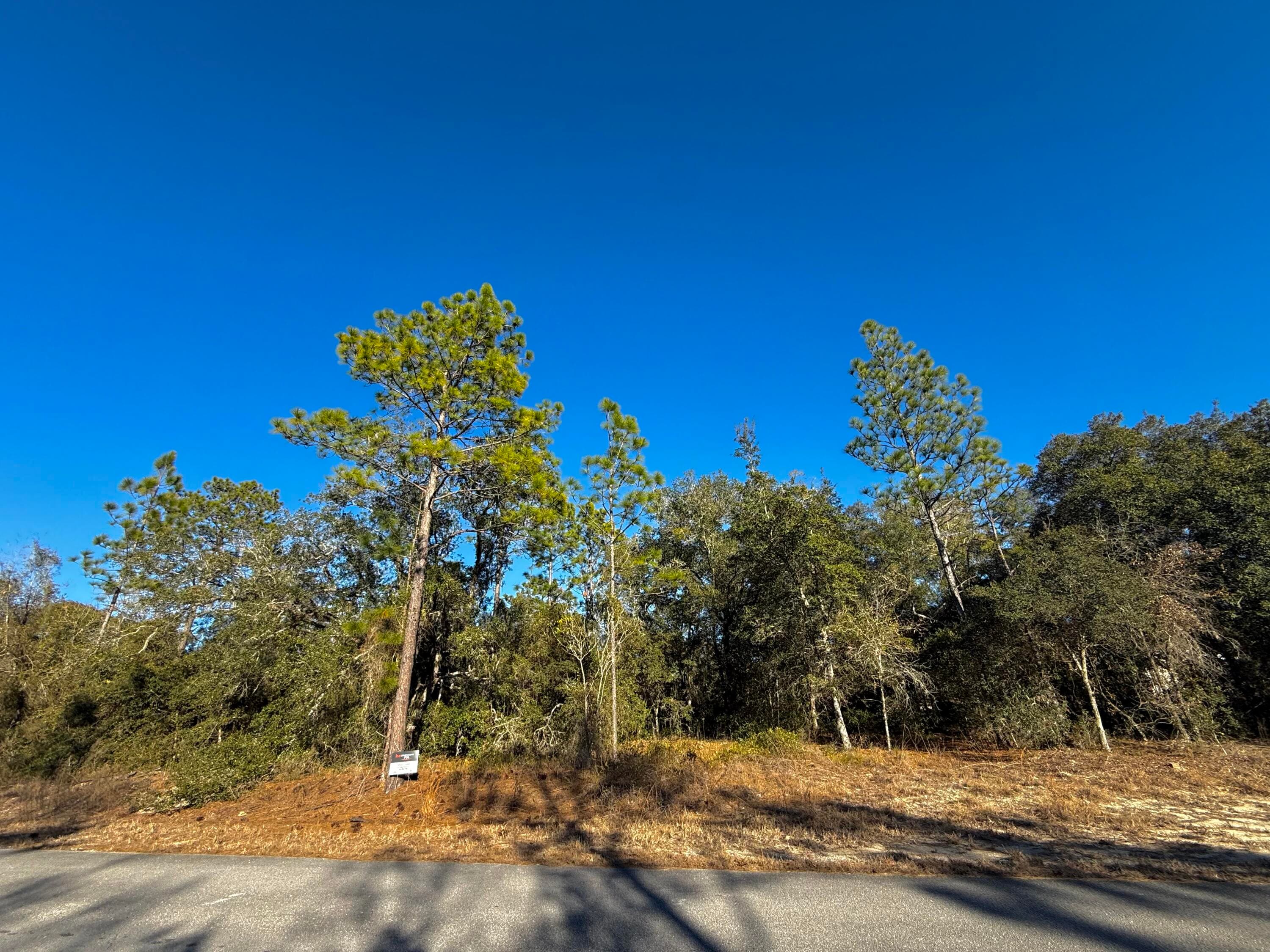 Tbd Lot 35 SW Lobelia Court, Dunnellon, FL 34431 — photo 8 of 10