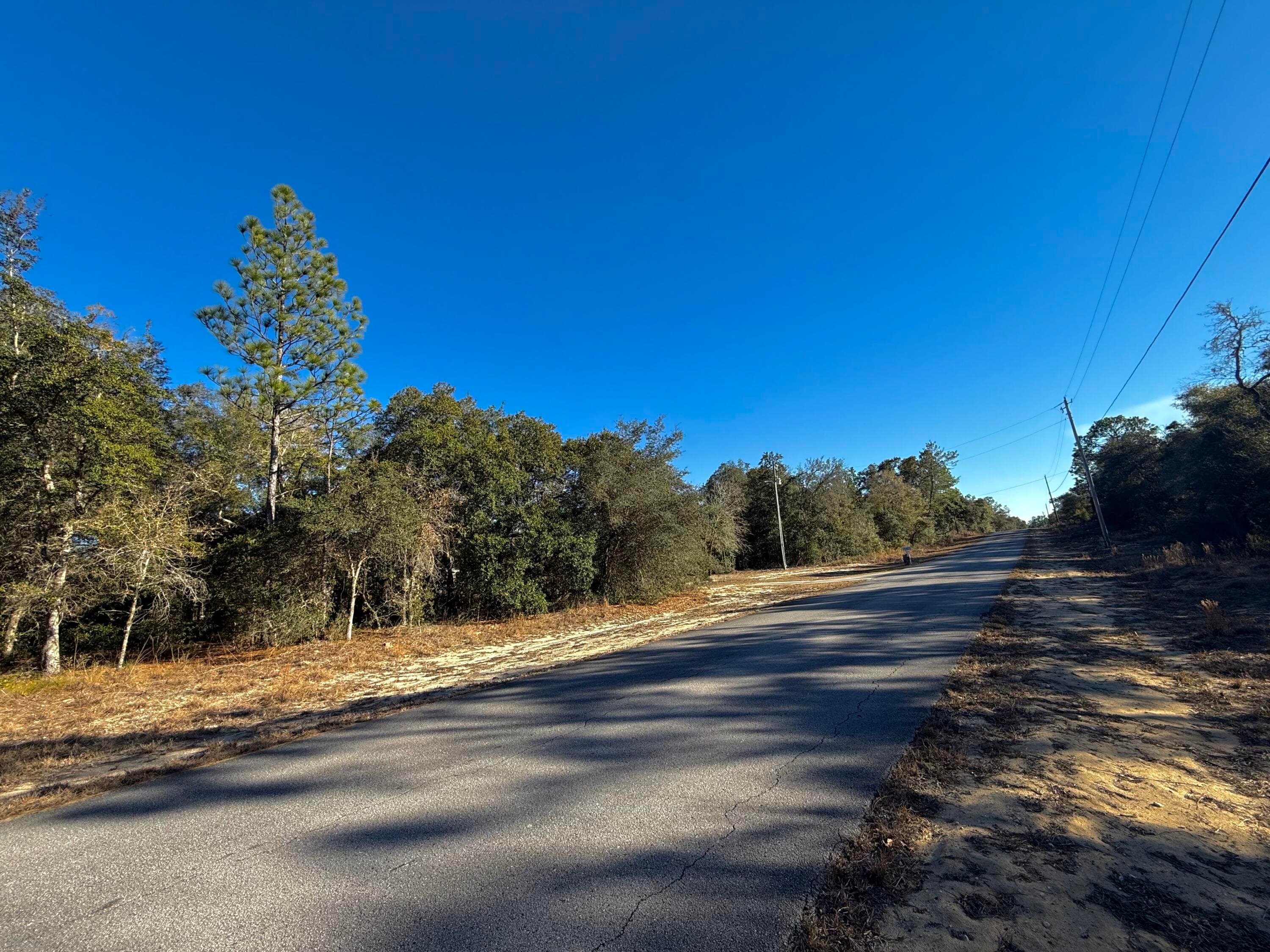 Tbd Lot 35 SW Lobelia Court, Dunnellon, FL 34431 — photo 10 of 10