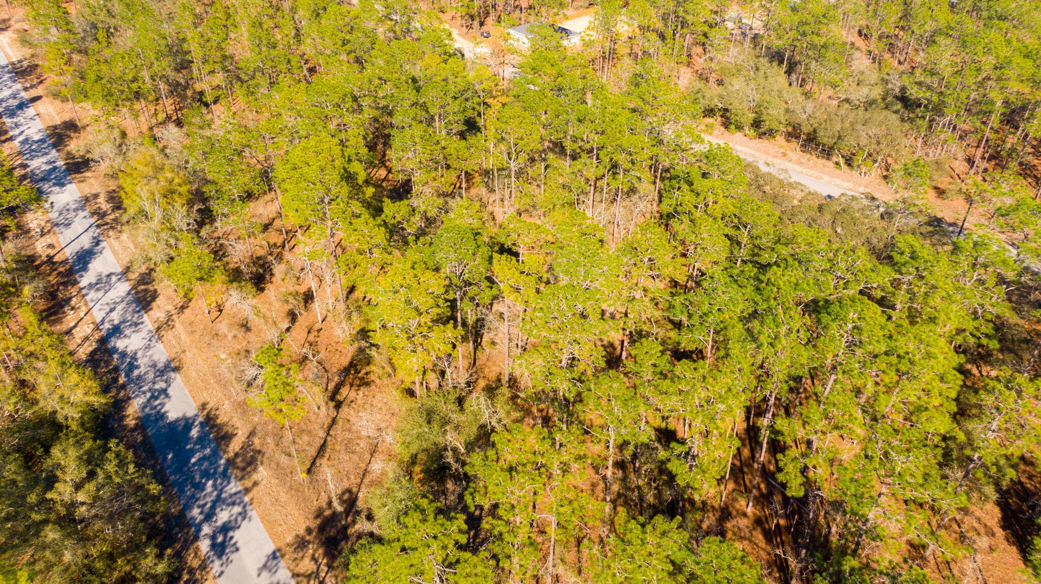 0000 SW Commodore Road, Dunnellon, FL 34431 — photo 7 of 10
