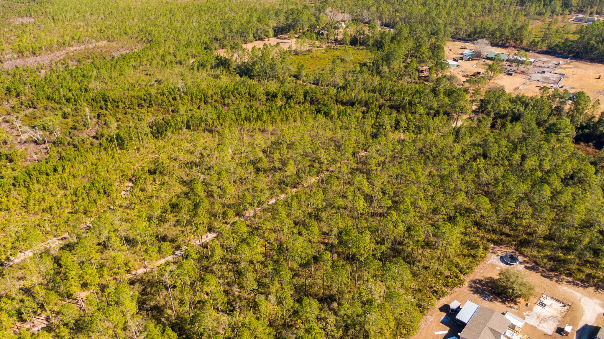 0000 Ne 125th Ave, Fort McCoy, FL 32134 — photo 5 of 8
