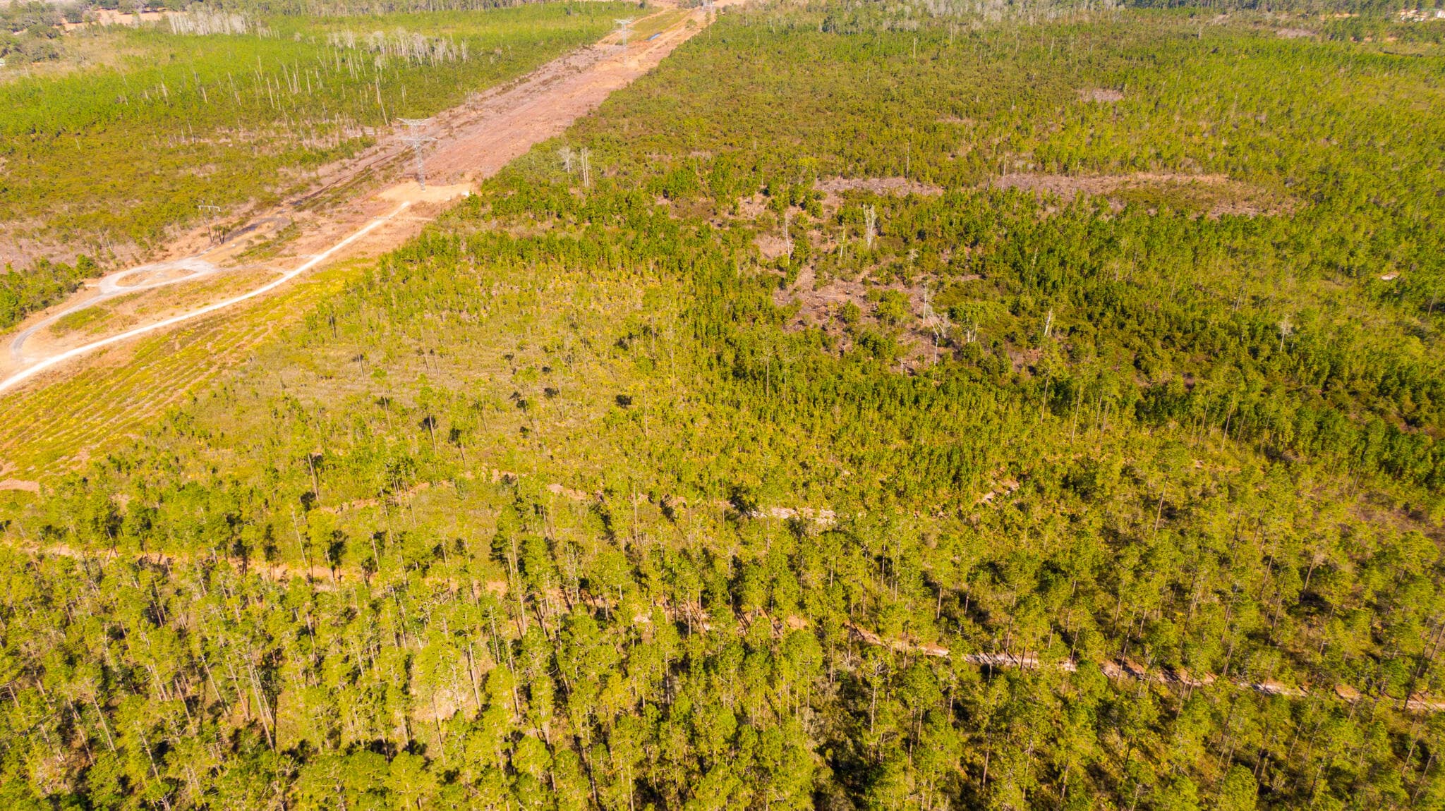 0000 Ne 125th Ave, Fort McCoy, FL 32134 — photo
