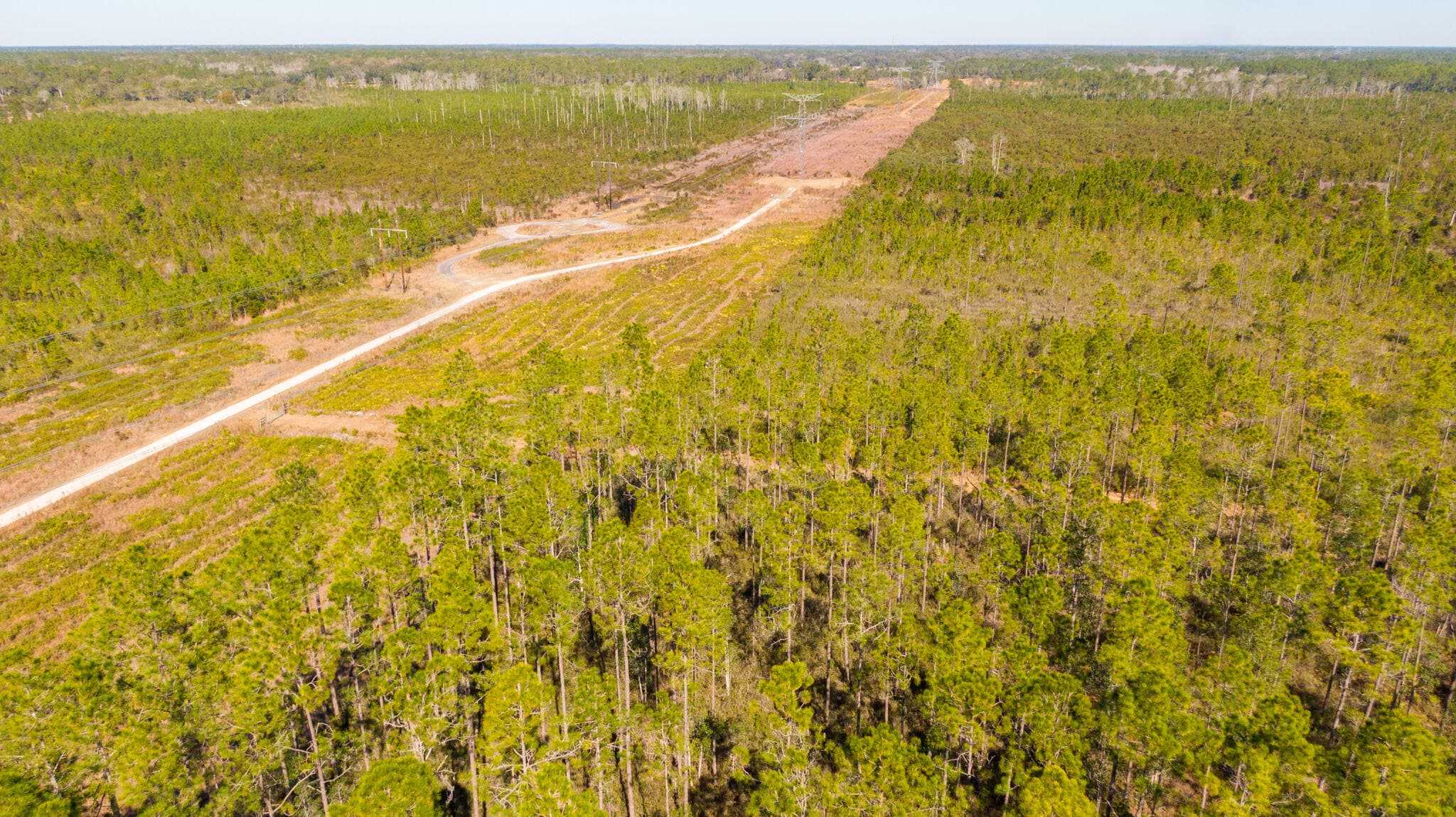0000 Ne 125th Ave, Fort McCoy, FL 32134 — photo 3 of 8