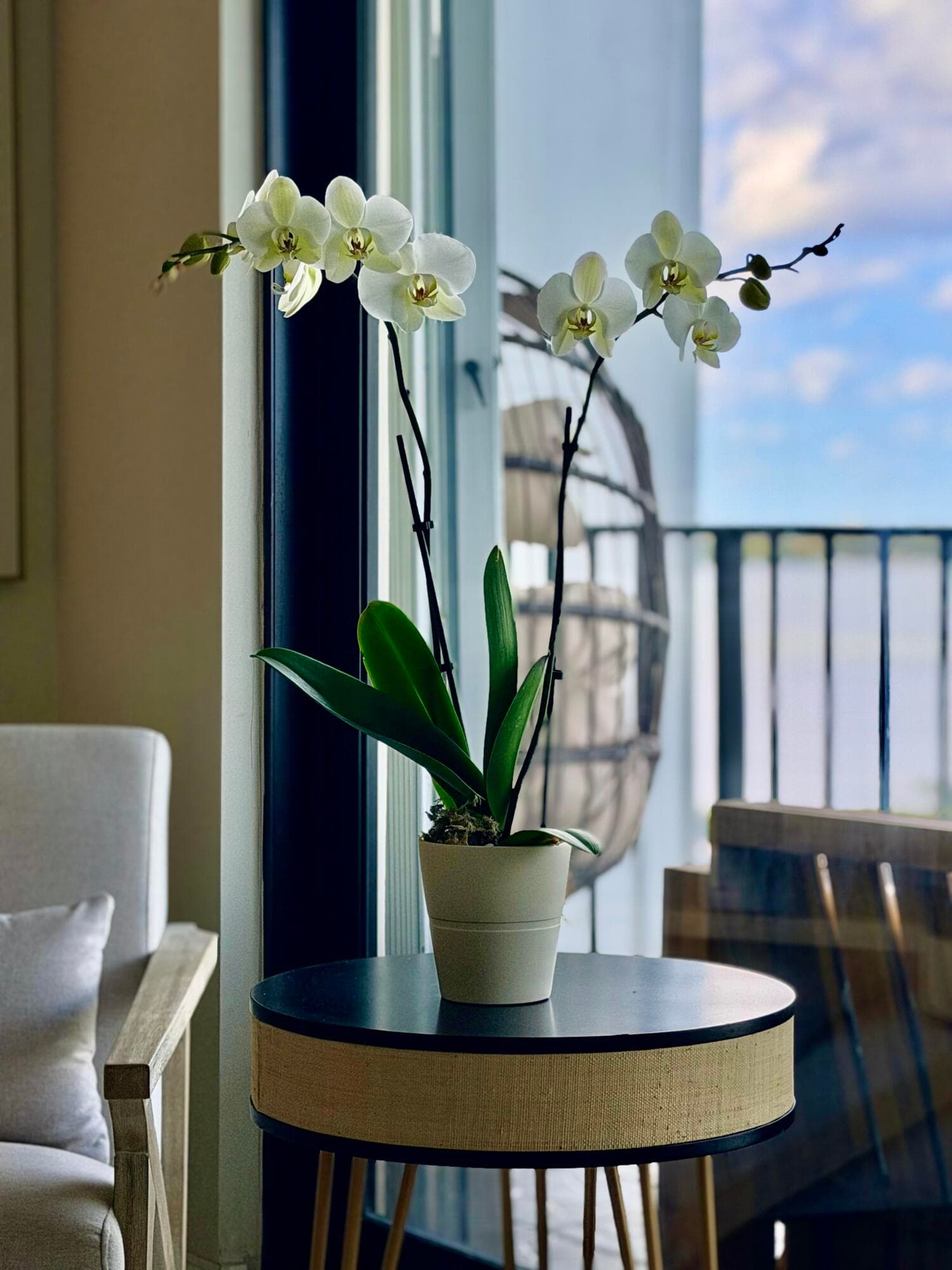 3460 S Ocean Boulevard 5110, Palm Beach, FL 33480 — photo 20 of 50