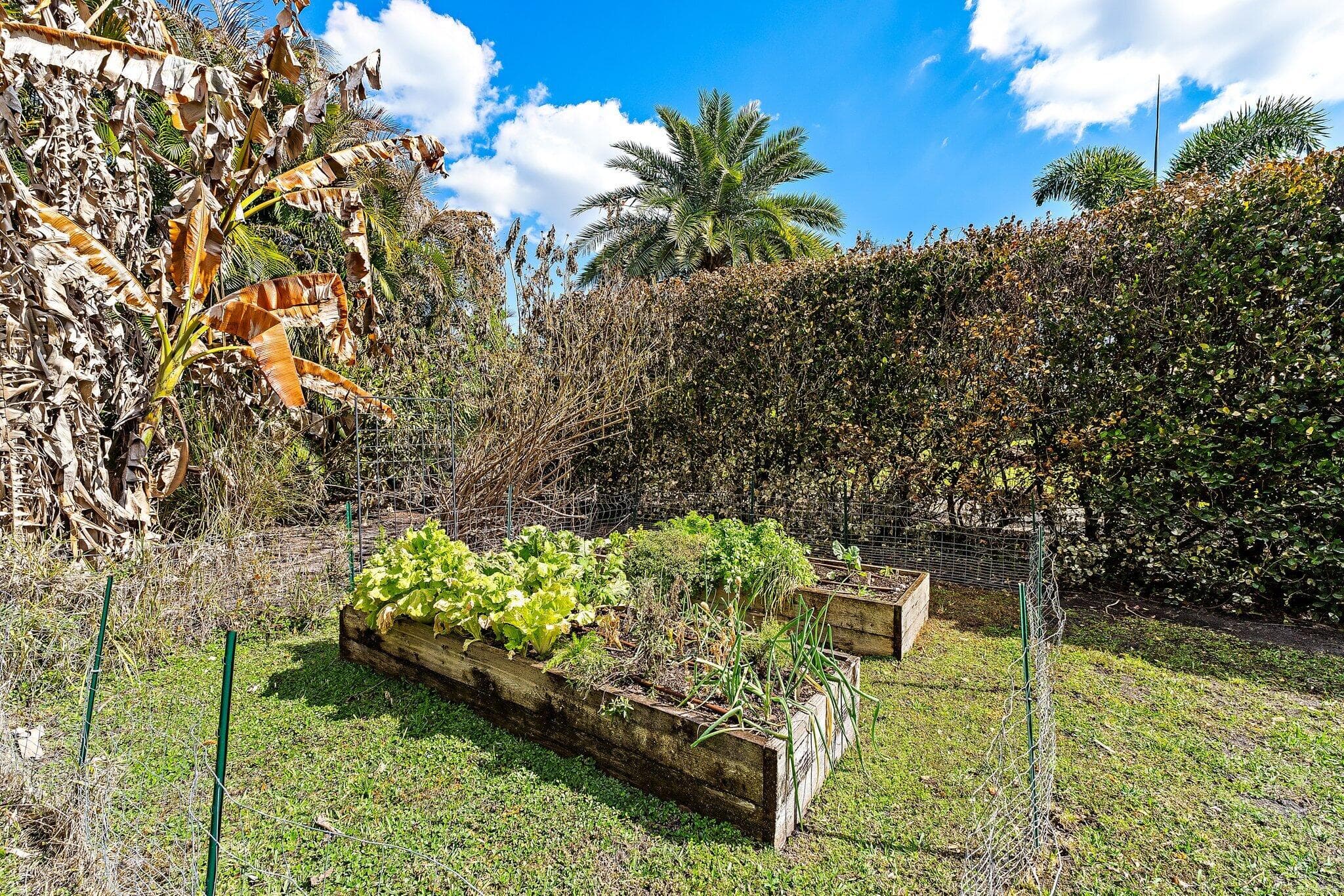 16434 75th Way N, Palm Beach Gardens, FL 33418 — photo 26 of 33