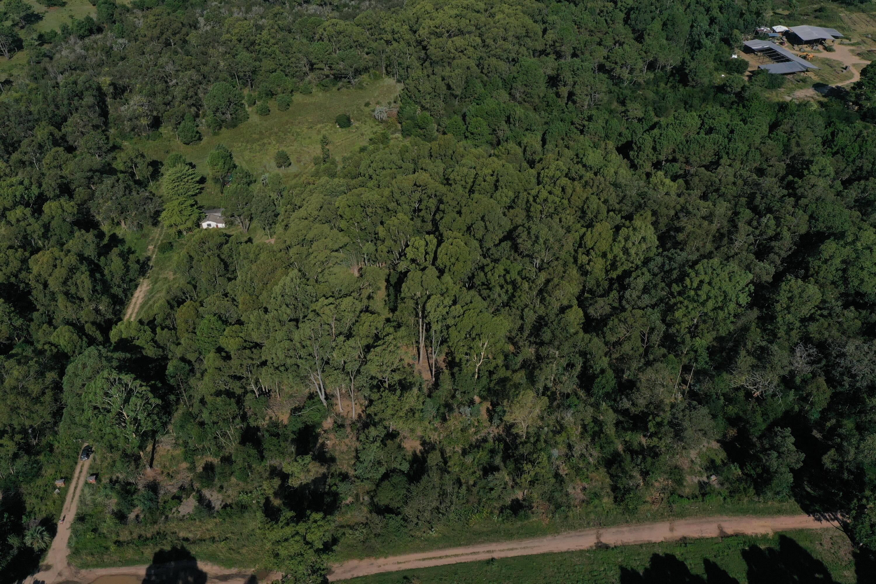 33382 Punta Del Diablo — photo 15 of 56