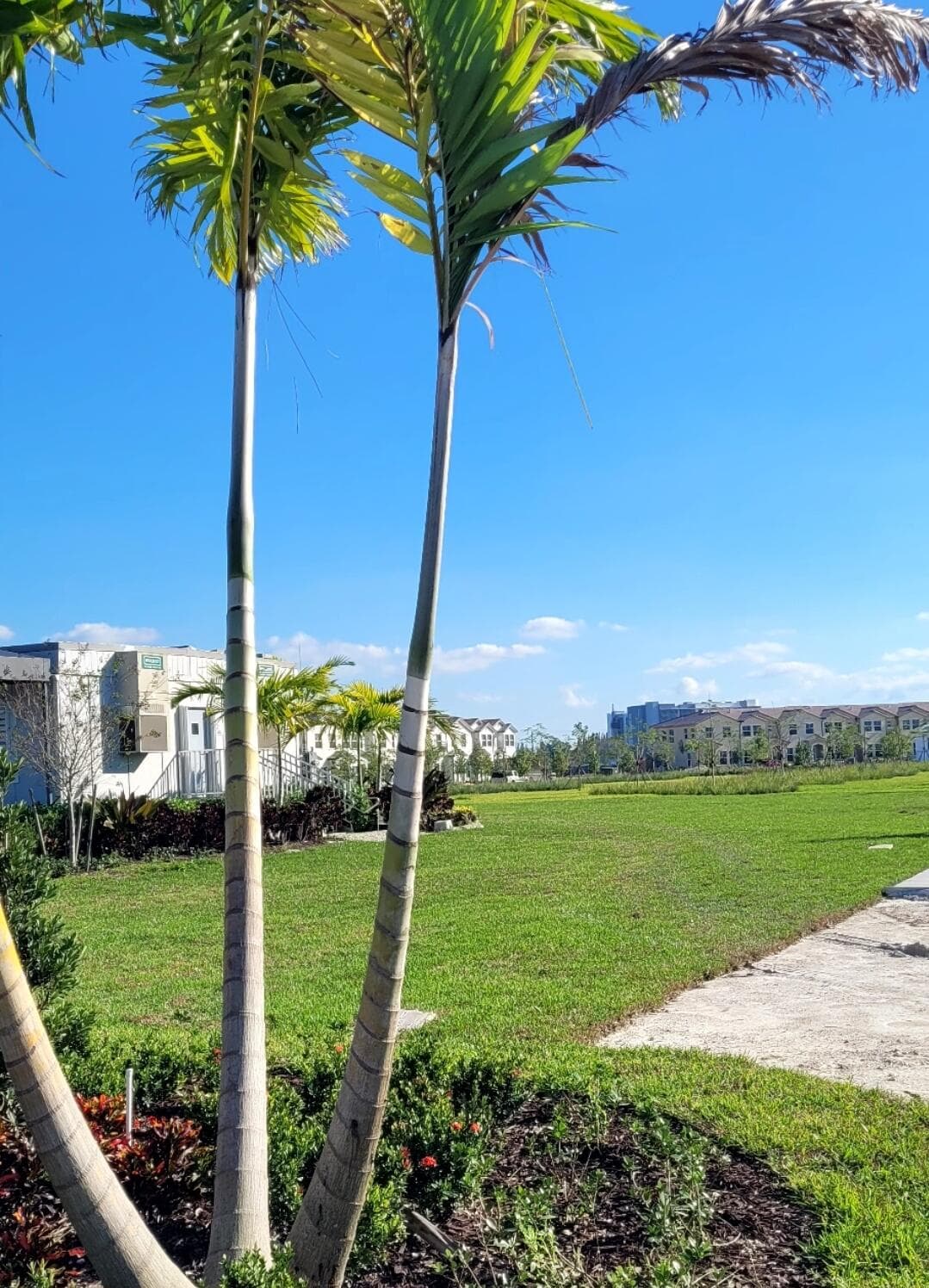 26426 SW 148th Court, Homestead, FL 33032 — photo 17 of 18