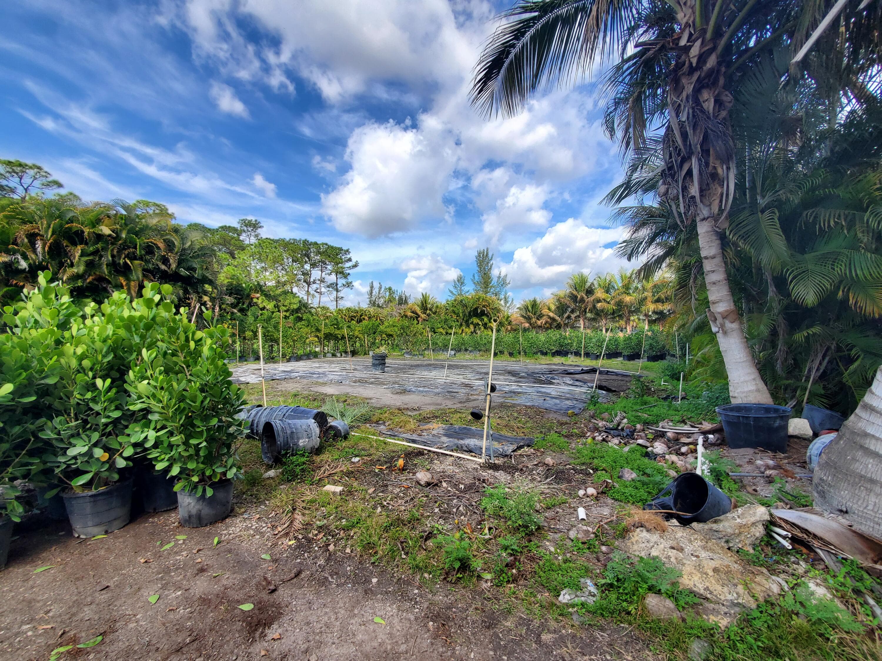 10655 61 Street S, Wellington, FL 33449 — photo 9 of 26