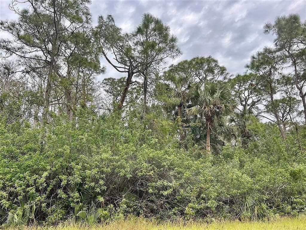 516 Woodman Drive, Lehigh Acres, FL 33972 — photo 1 of 1