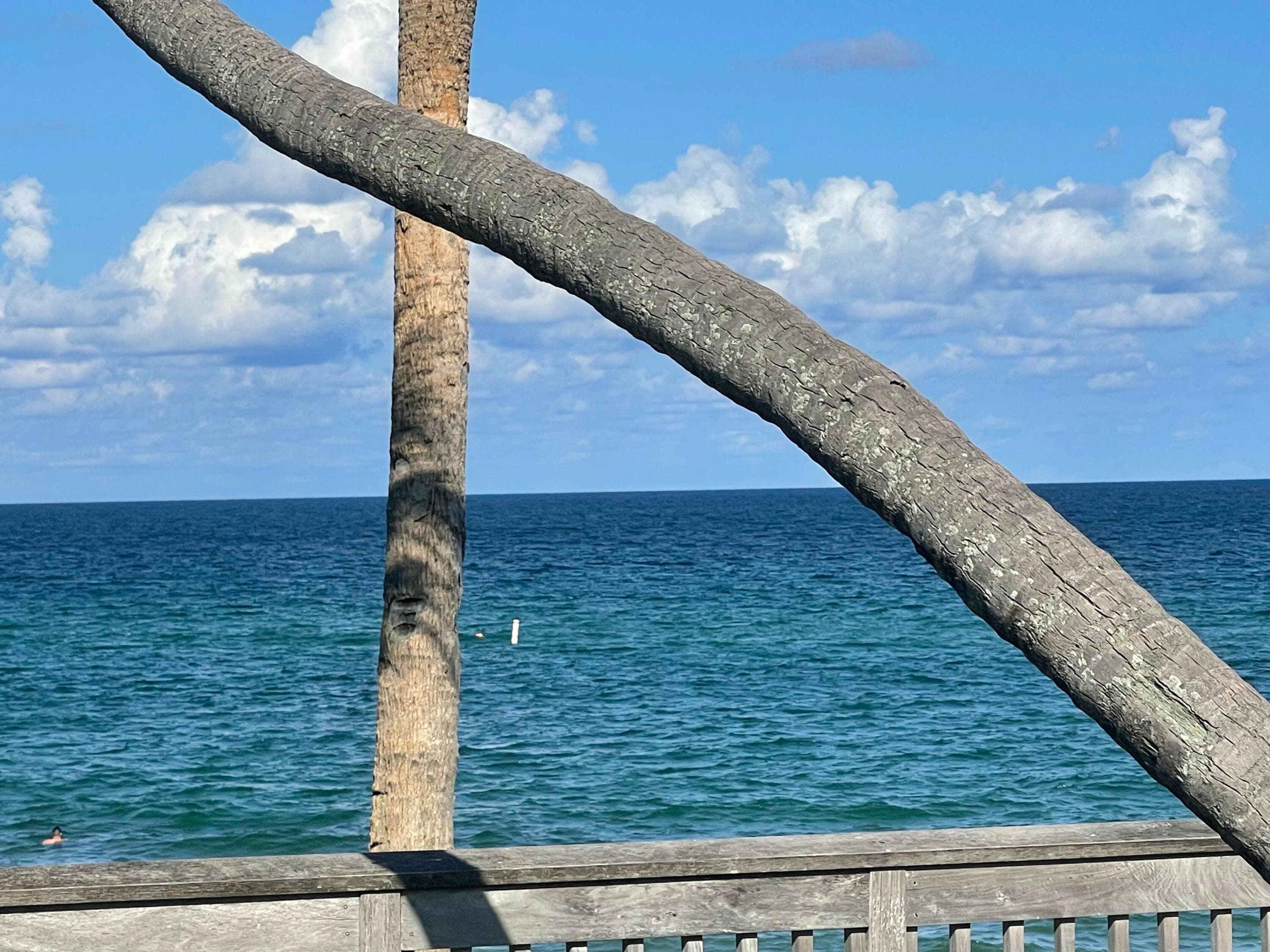 1237 Hillsboro Mile 302, Hillsboro Beach, FL 33062 — photo 104 of 115