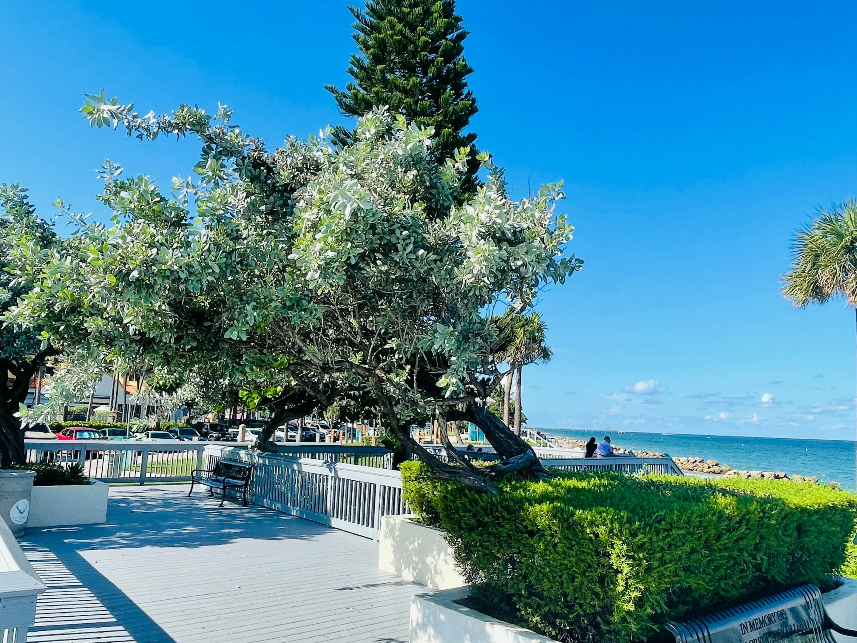 1237 Hillsboro Mile 302, Hillsboro Beach, FL 33062 — photo 105 of 115