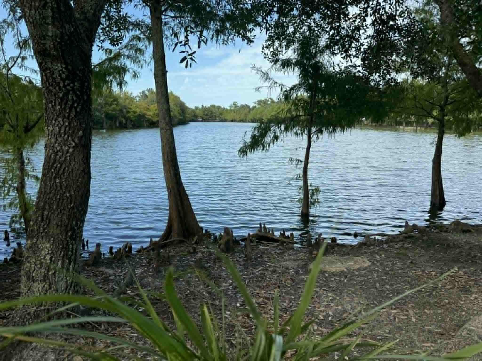 2388 SE Union Park Drive, Port St. Lucie, FL 34952 — photo 47 of 53