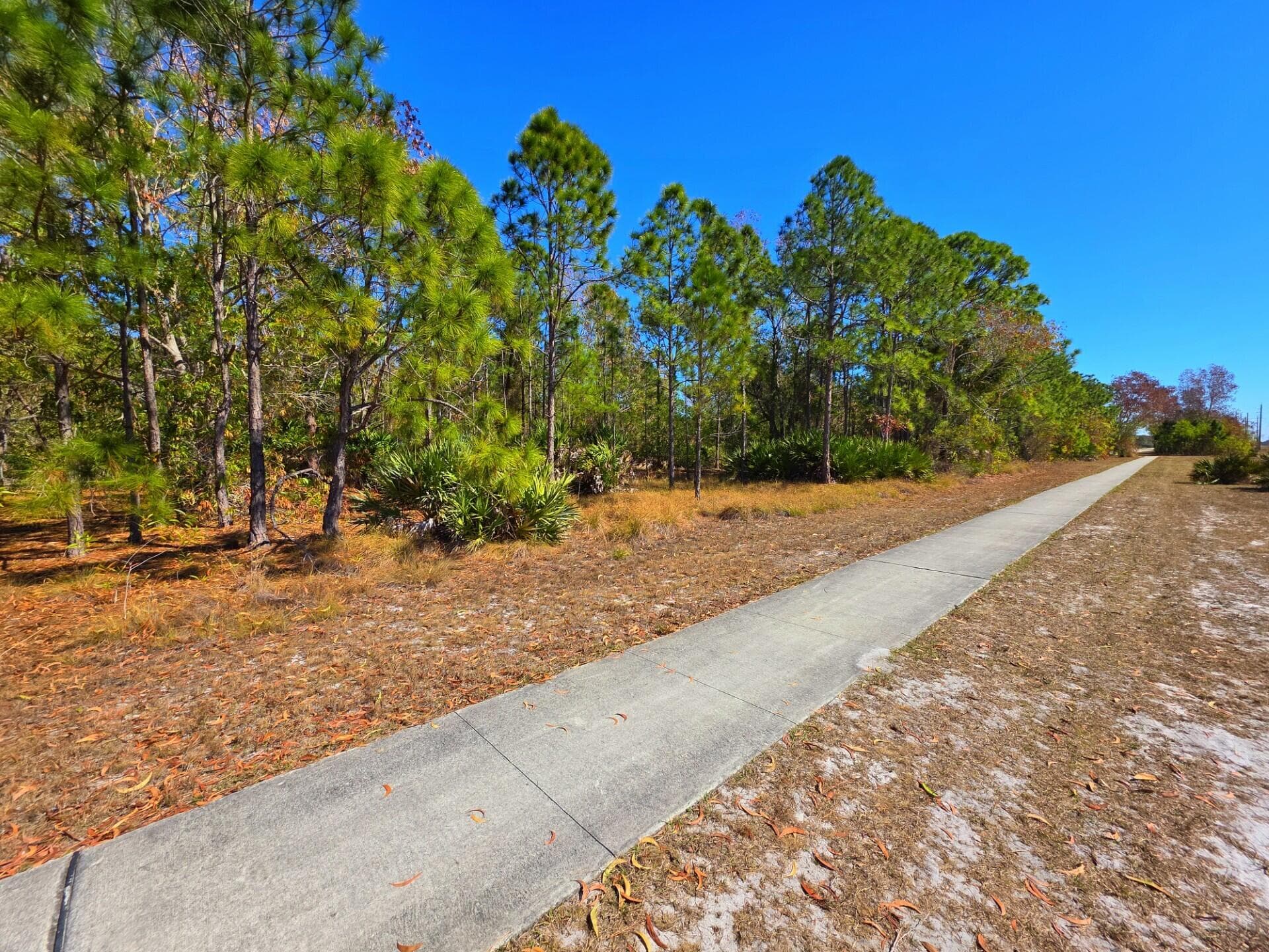 0 No Name, Port St. Lucie, FL 34983 — photo 9 of 43