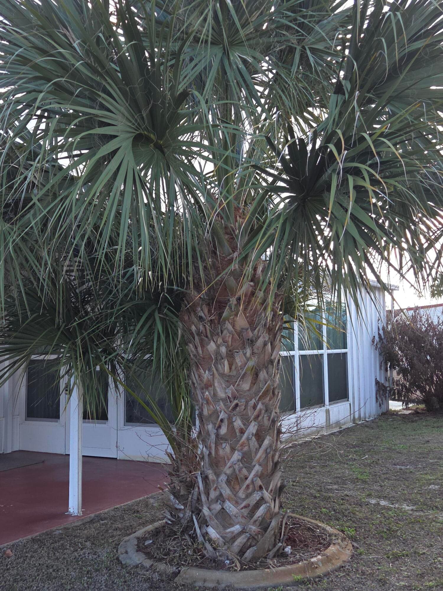 2915 Roger Street, Sebring, FL 33872 — photo 27 of 36