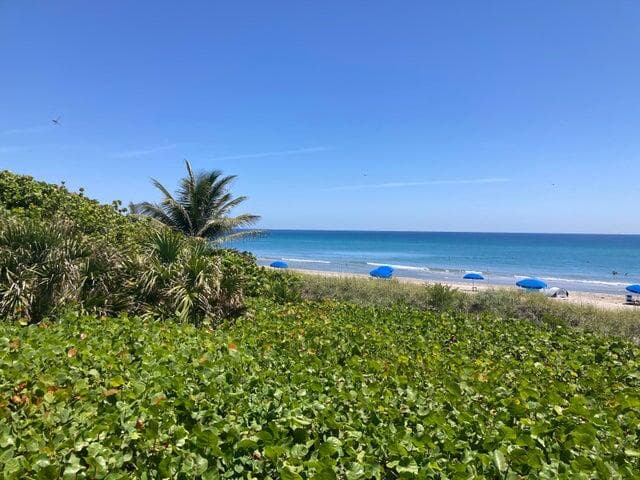 6 Royal Palm Way 310, Boca Raton, FL 33432 — photo 34 of 37