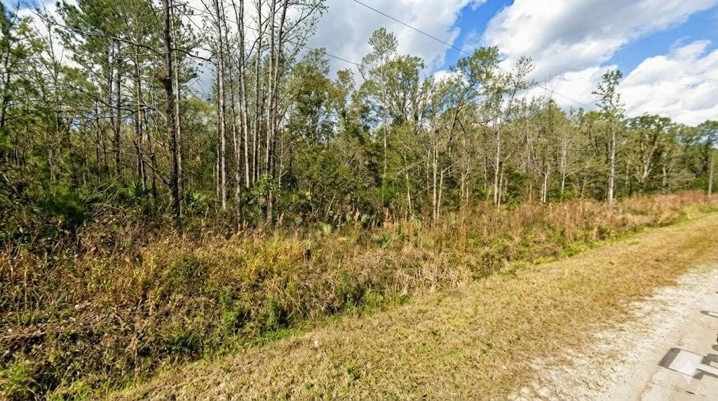 10655 Turpin Avenue, Hastings, FL 32145 — photo 4 of 7