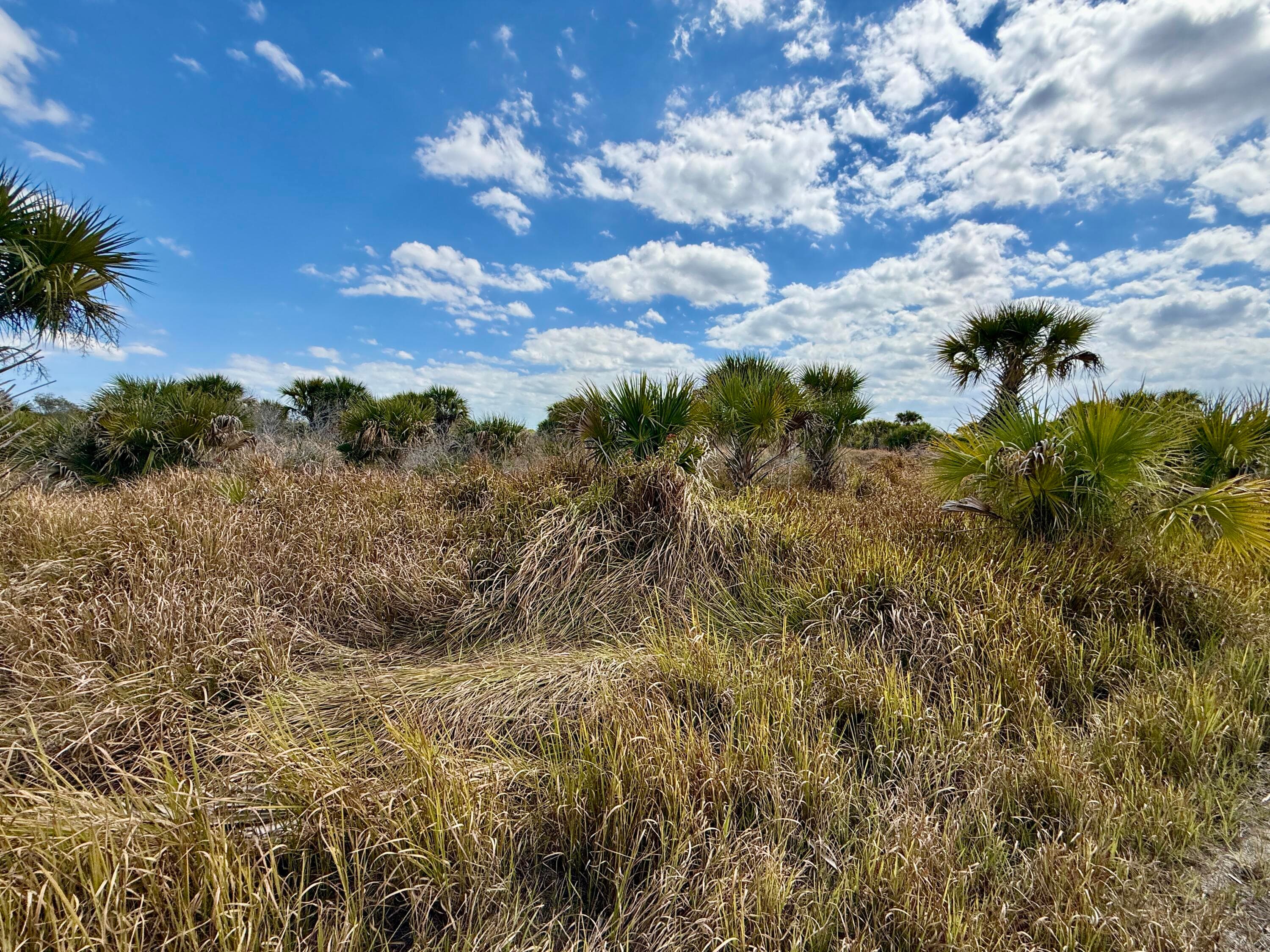 1909 Comer Terrace SW, Palm Bay, FL 32908 — photo
