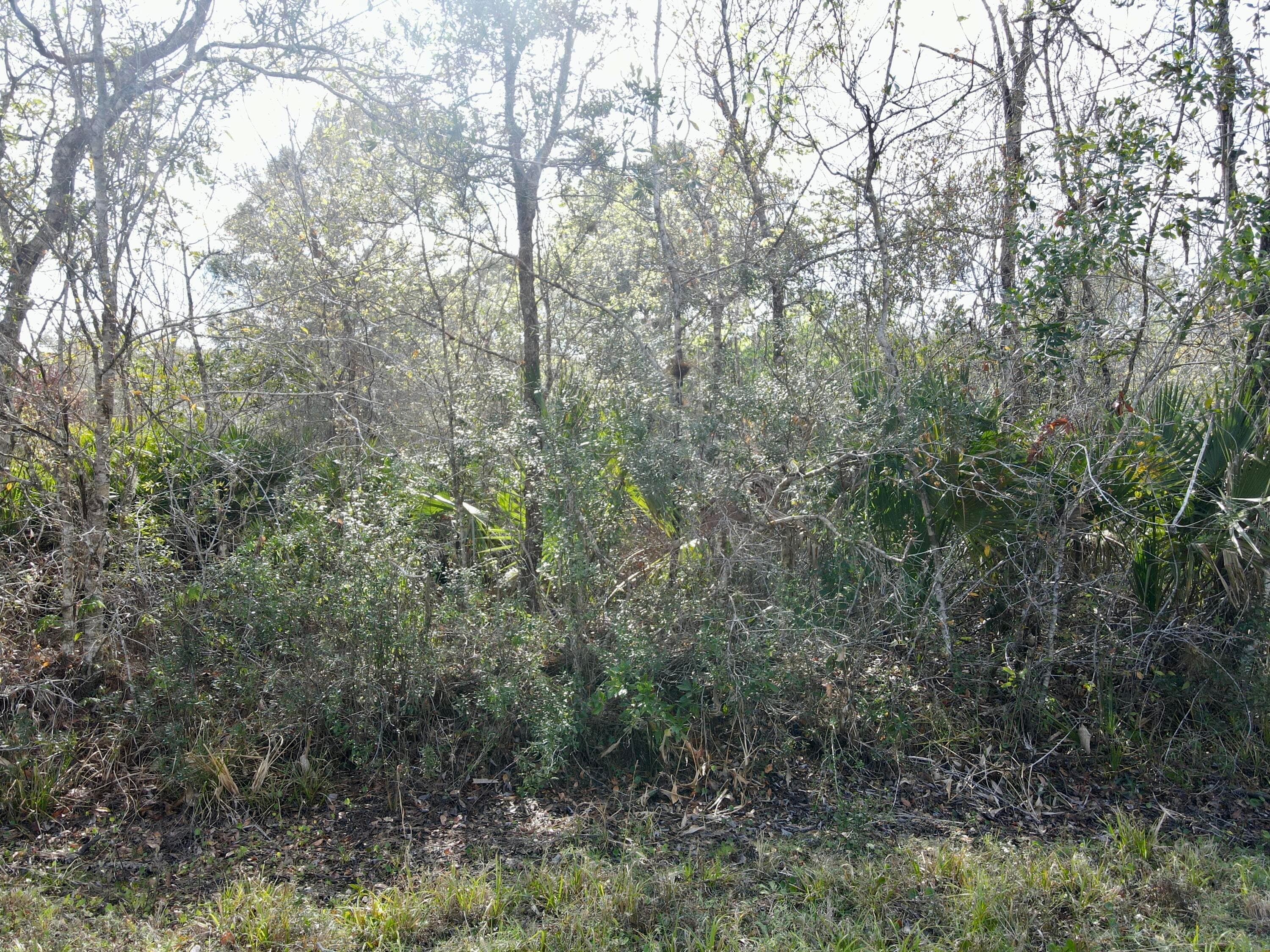 1465 NE 342nd Trail, Okeechobee, FL 34972 — photo 6 of 6