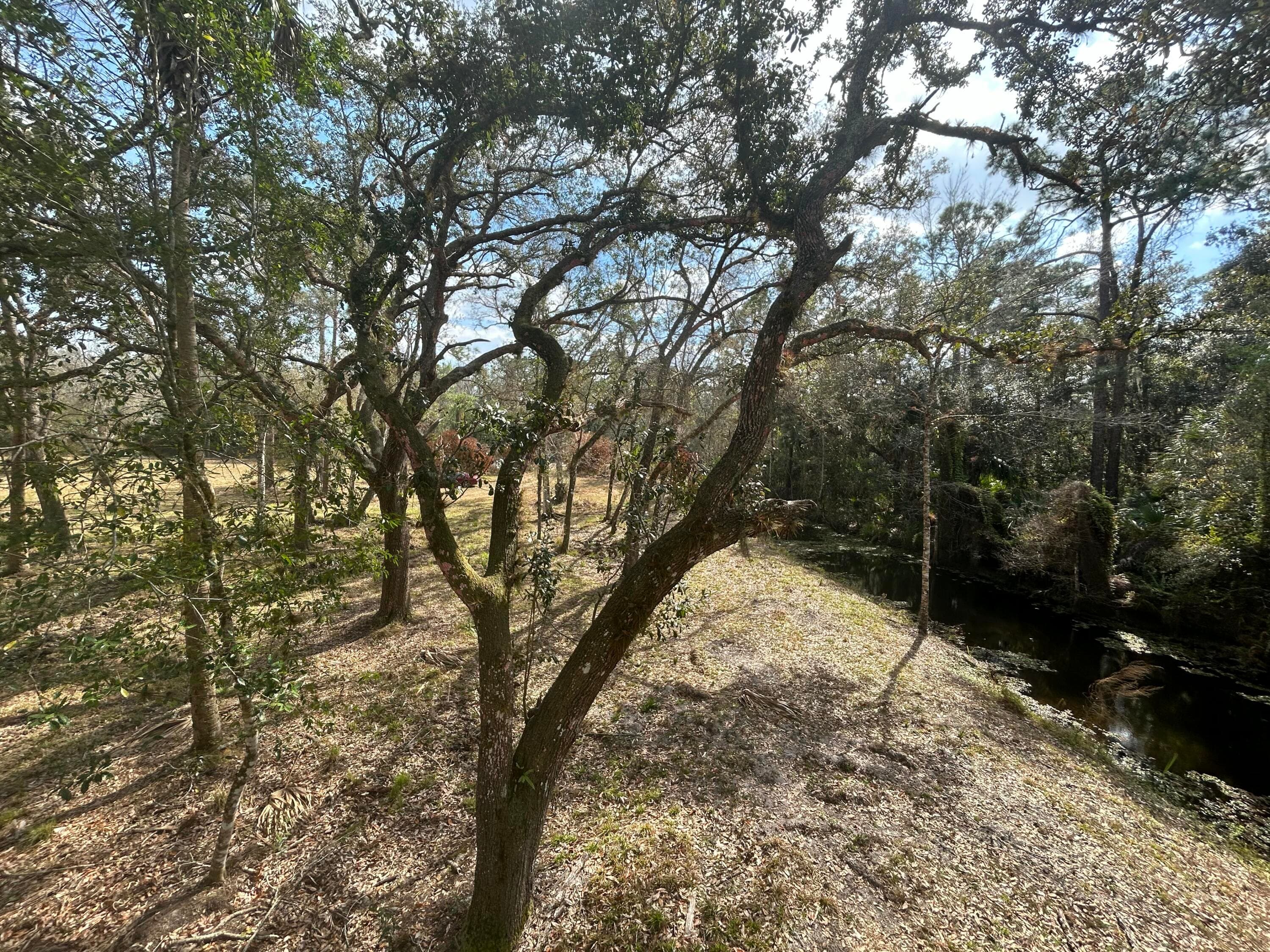 855 NW 368th Drive, Okeechobee, FL 34972 — photo 8 of 13