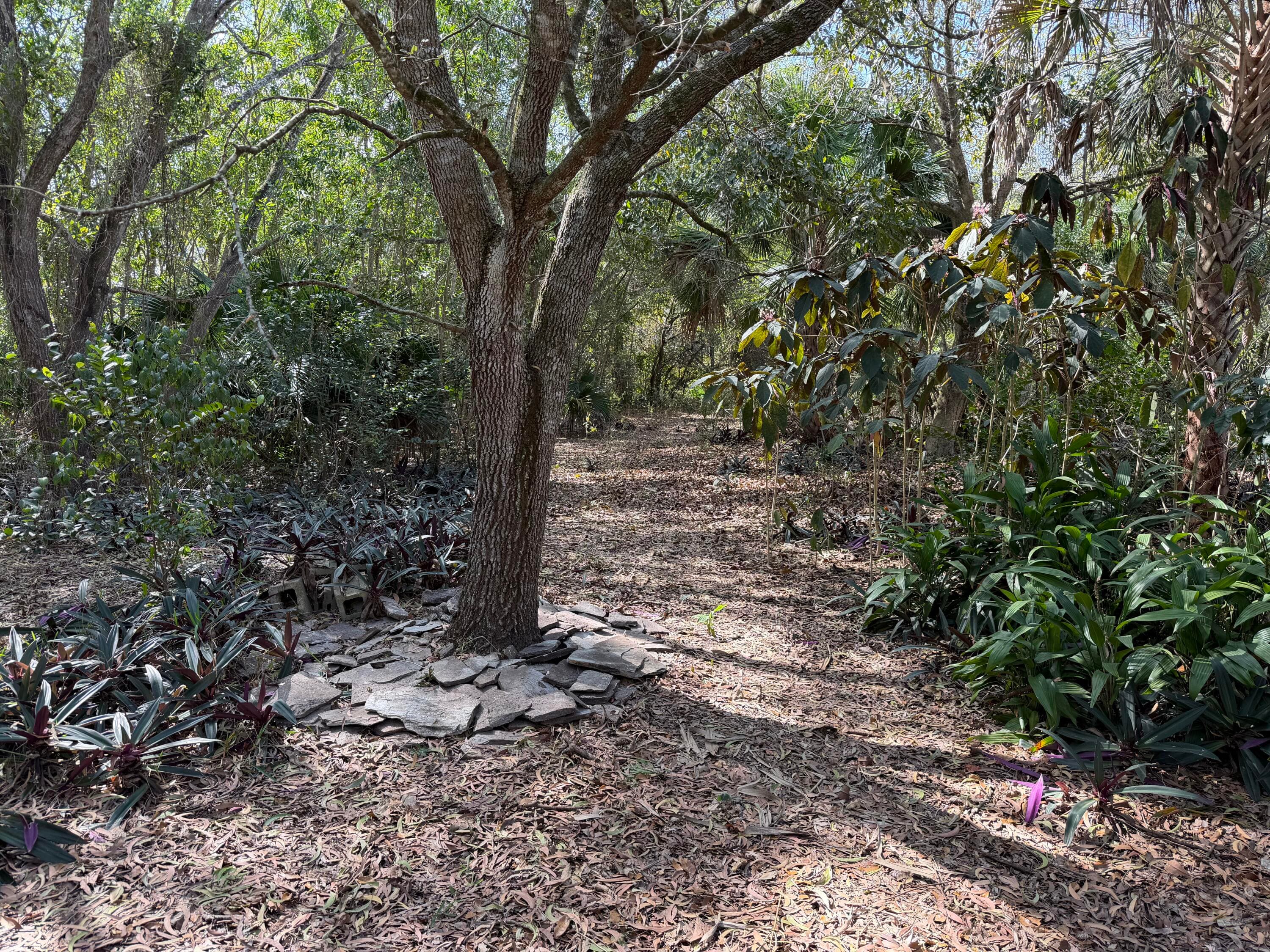 16556 Rustic Road, Wellington, FL 33470 — photo 15 of 23