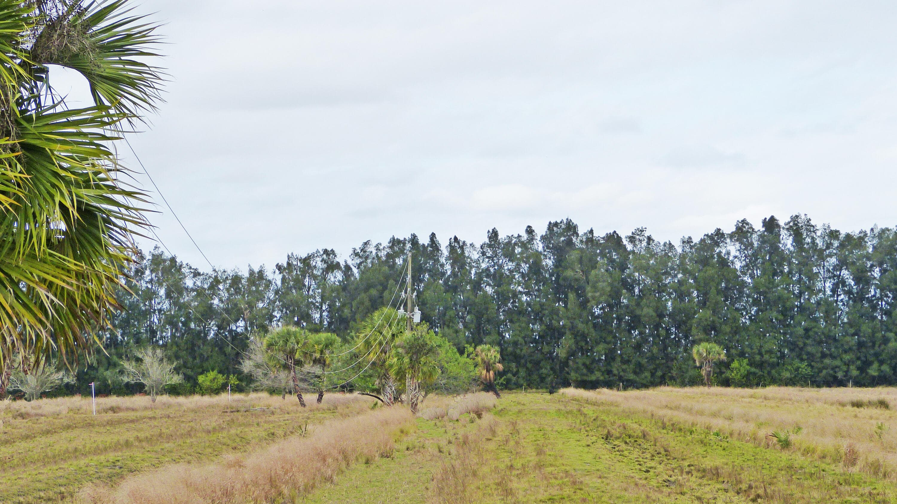 Tbd S Header Canal Road, Fort Pierce, FL 34945 — photo 5 of 6