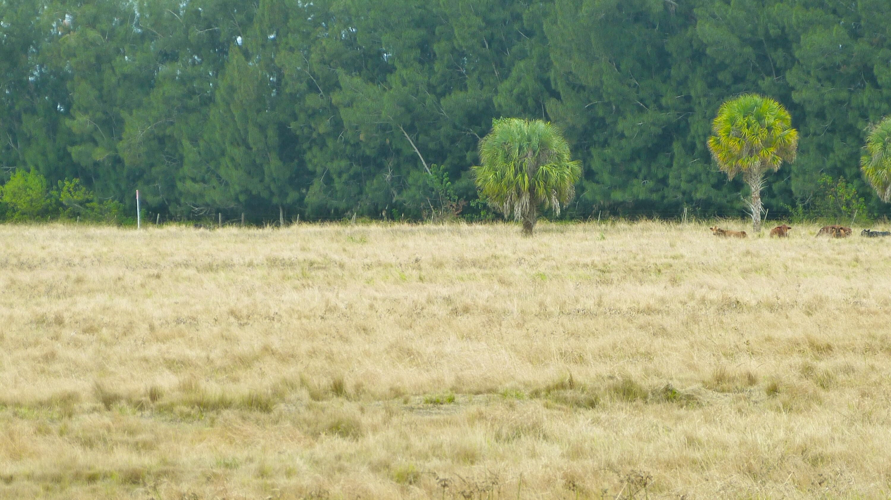 Tbd Kelly Road, Fort Pierce, FL 34945 — photo 4 of 7