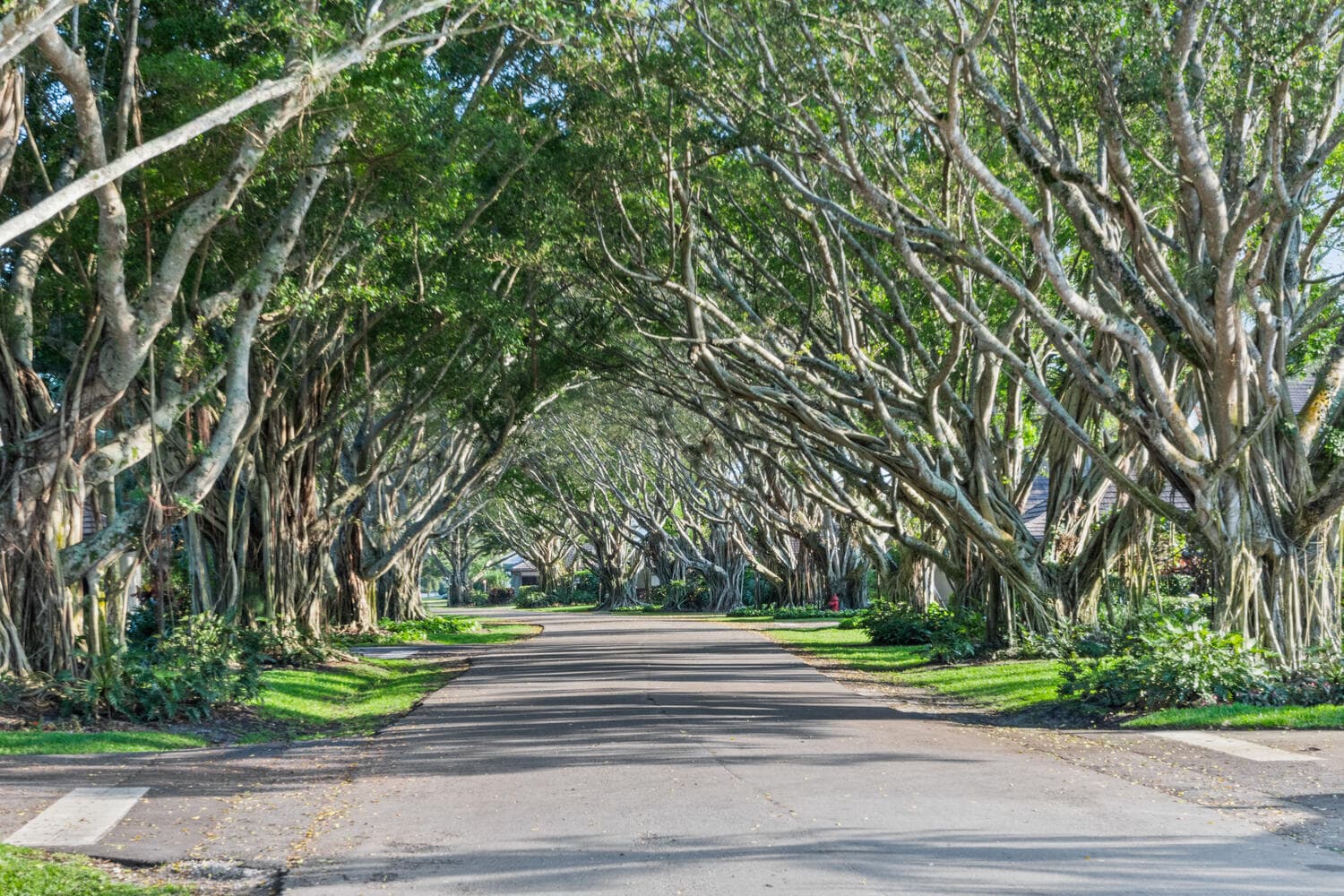 2785 Polo Island Drive J301, Wellington, FL 33414 — photo 4 of 73