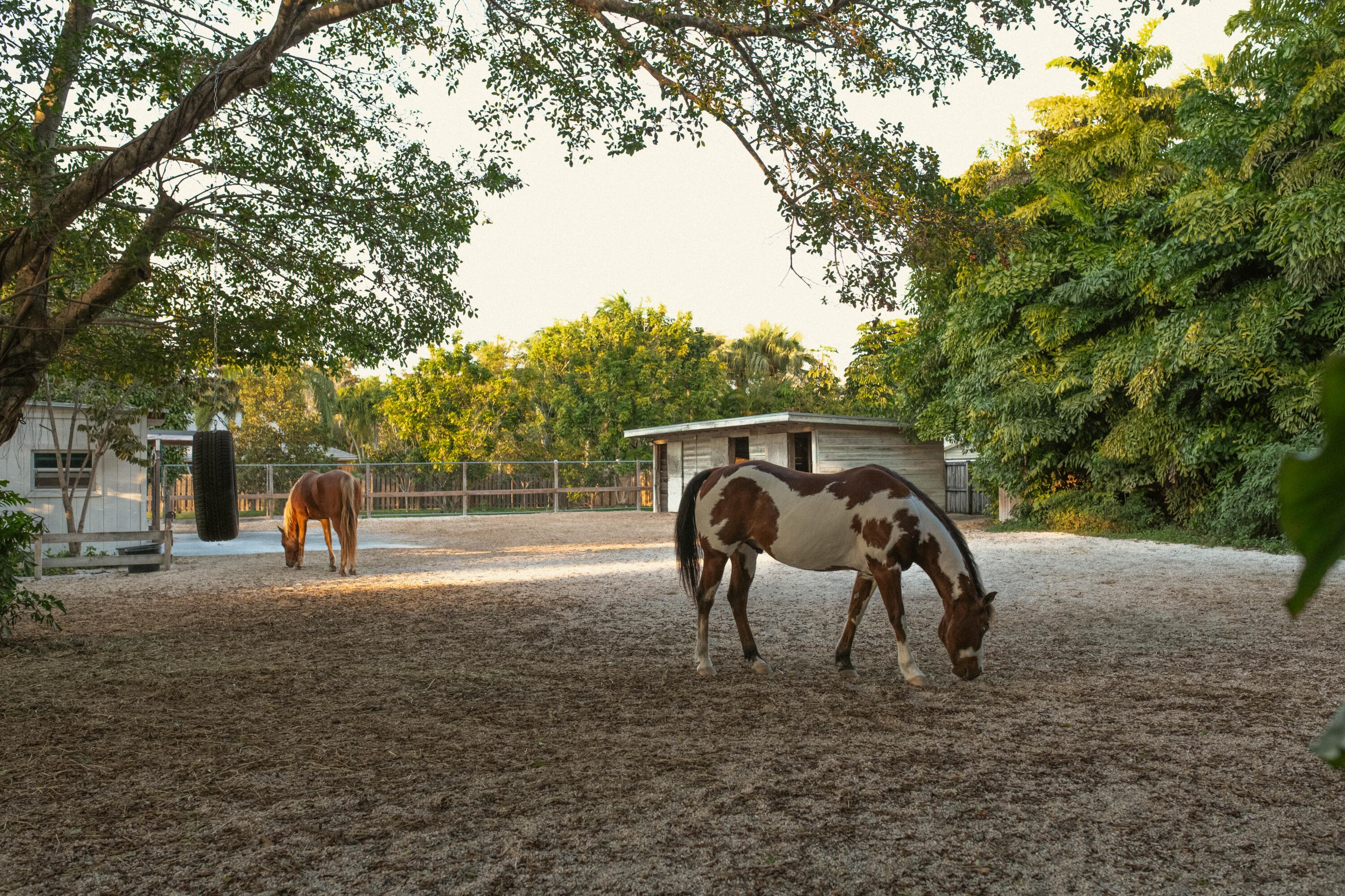 12301 SW 107th Avenue, Miami, FL 33176 — photo 56 of 58