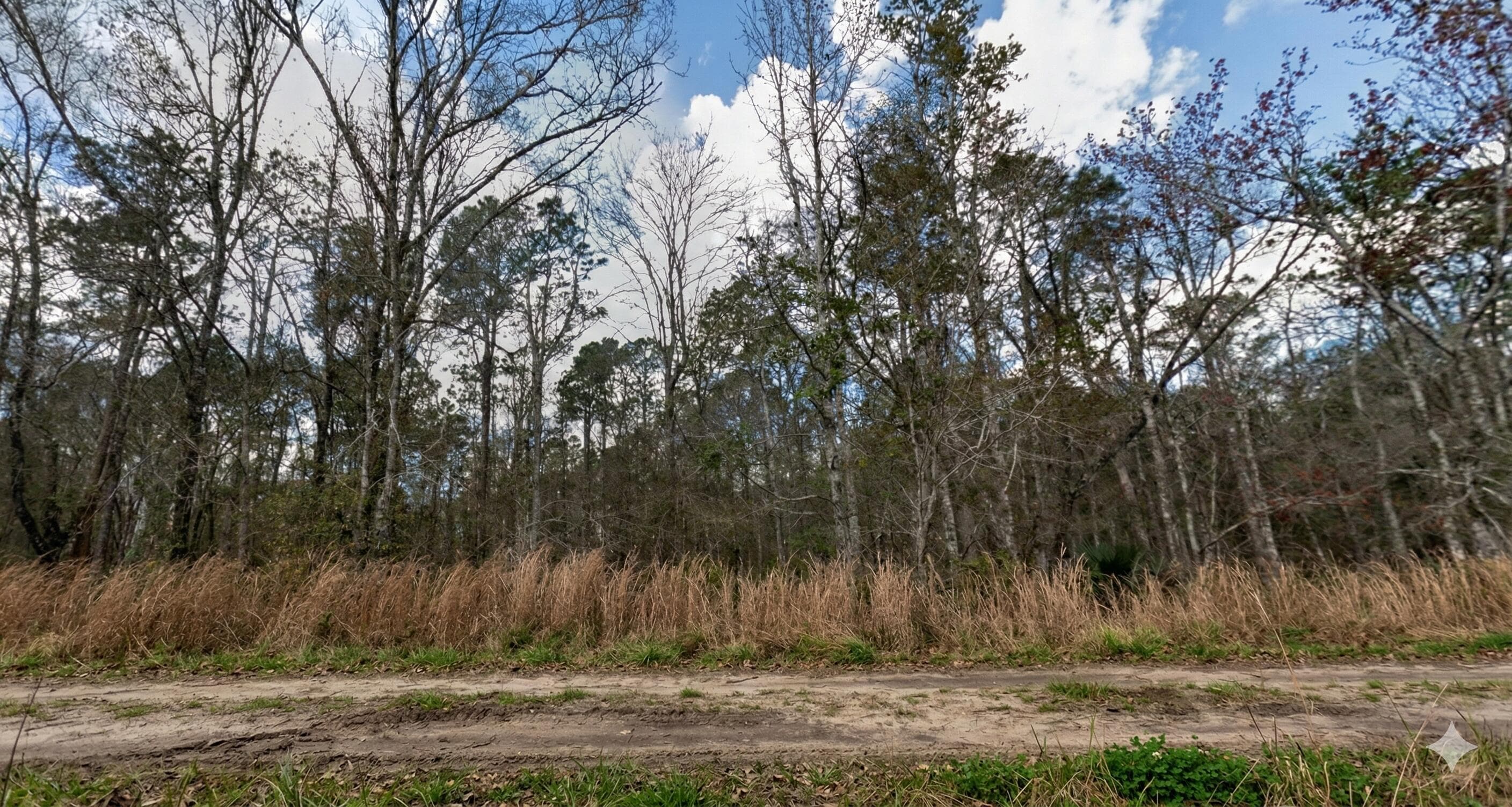 10335 Hennessey Avenue, Hastings, FL 32145 — photo 3 of 5