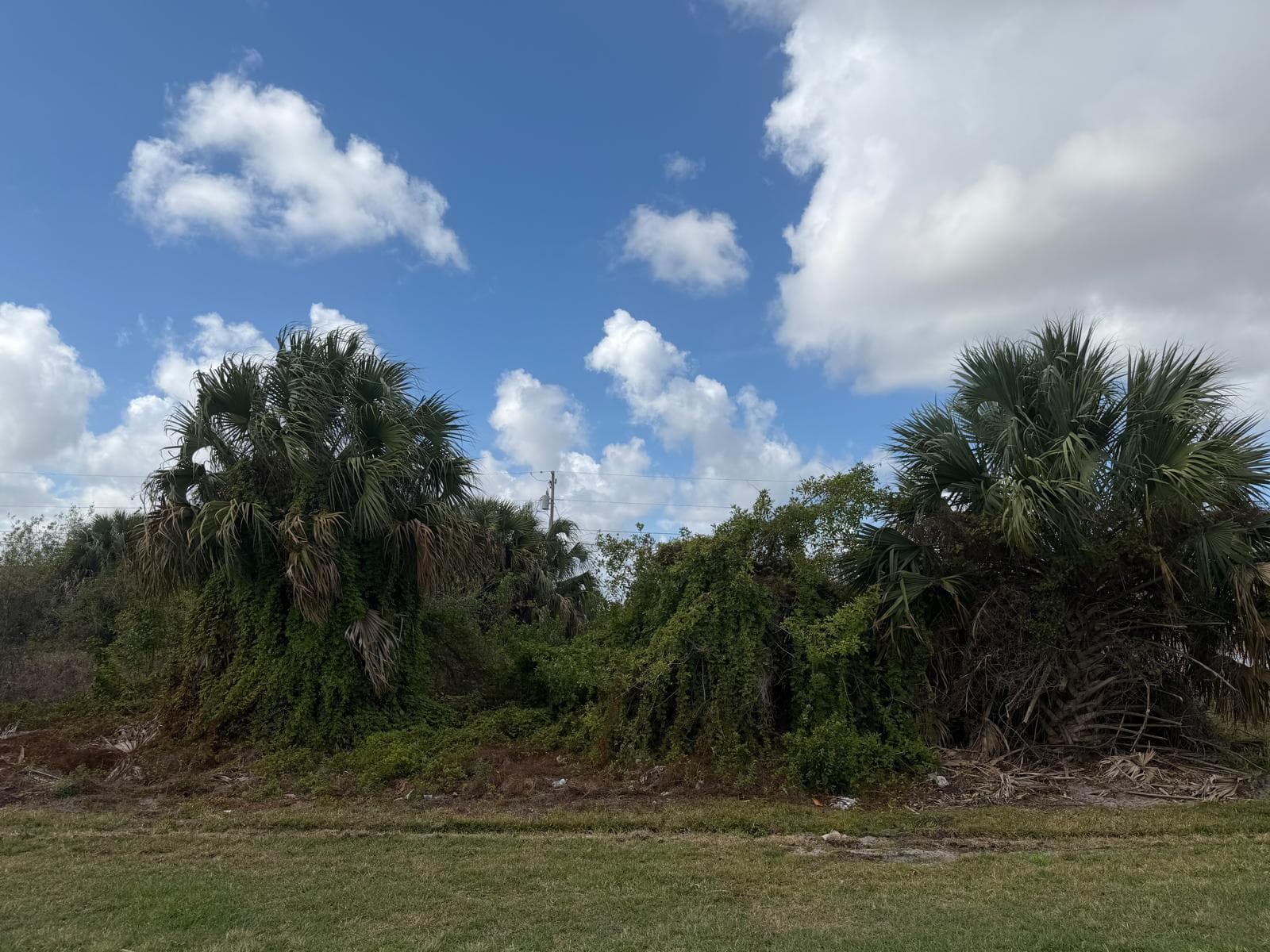 1658 SW Hampshire Lane, Port St. Lucie, FL 34953 — photo 1 of 2