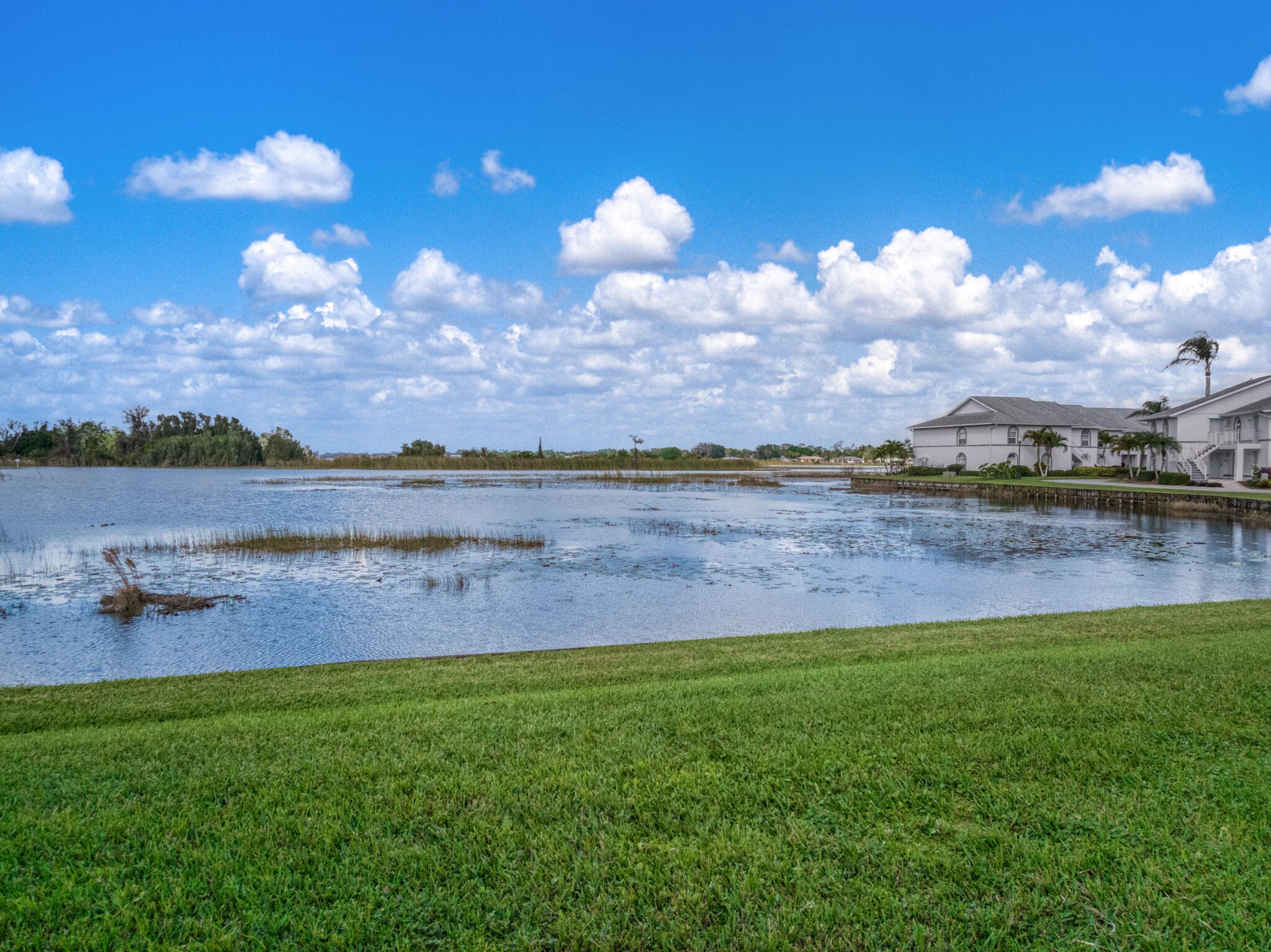 703 Chelsee Way, Lake Placid, FL 33852 — photo 5 of 39