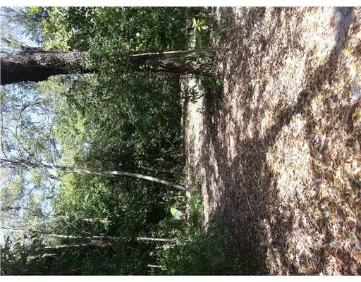 Unimproved Land in South Florida — photo 3 of 5