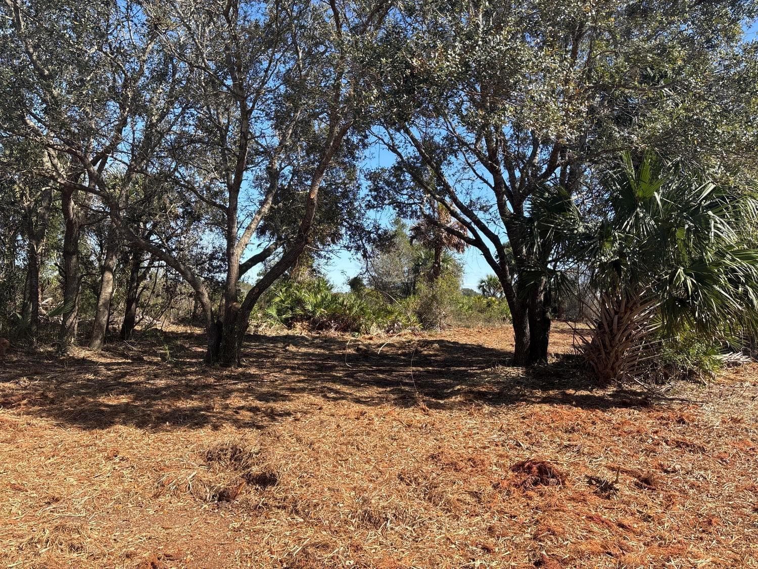 0 NW 304th Street, Okeechobee, FL 34972 — photo 2 of 4