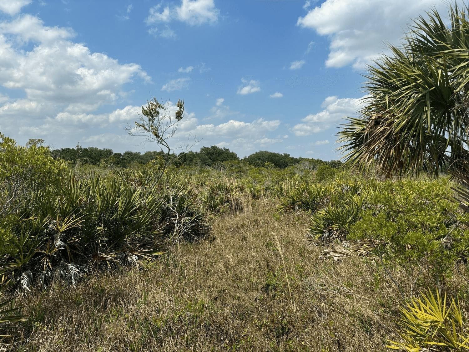0 NW 306th Street, Okeechobee, FL 34972 — photo 1 of 2